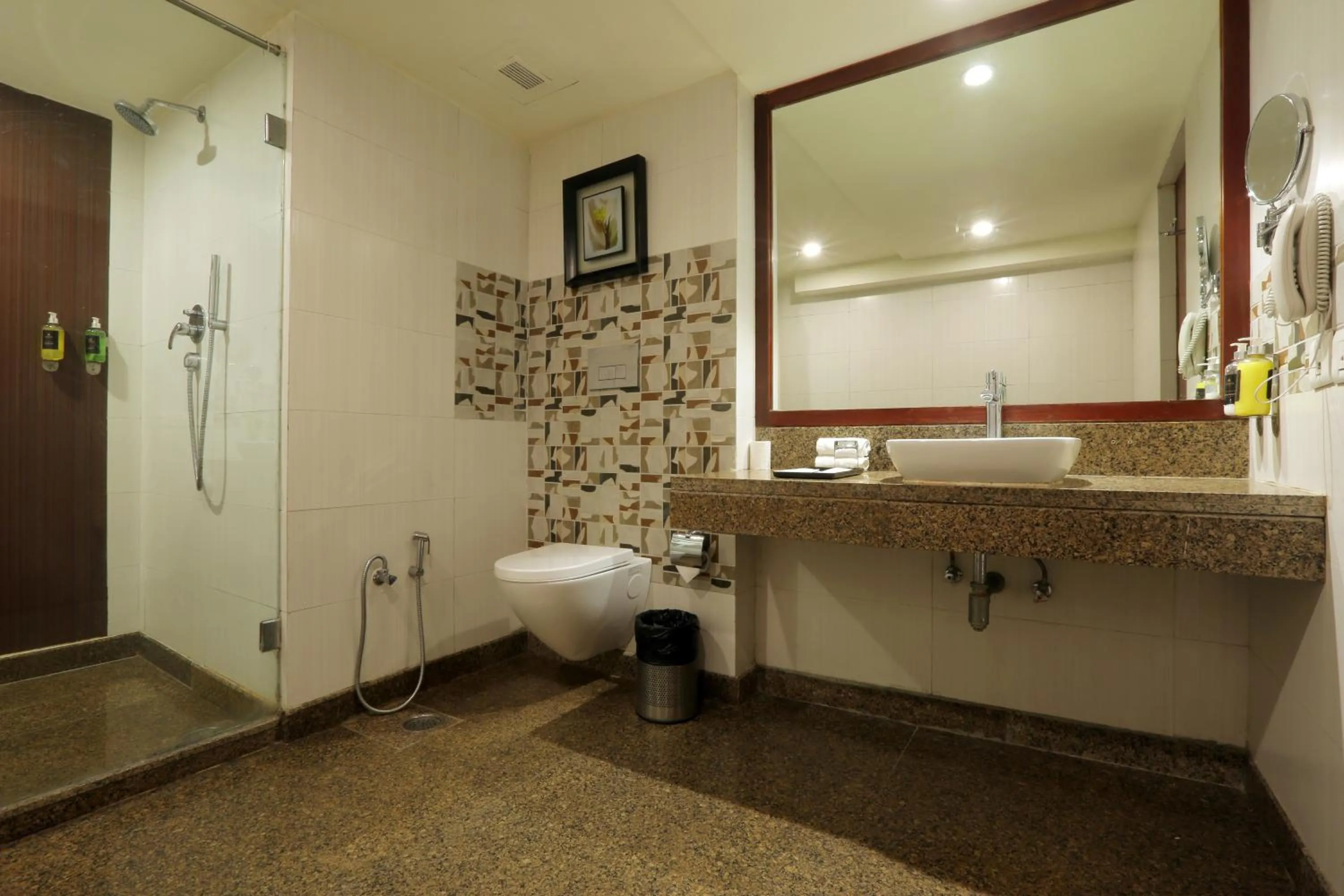 Shower in Vesta International