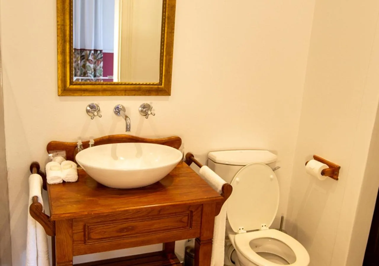 Toilet in Hotel du Vin Franschhoek