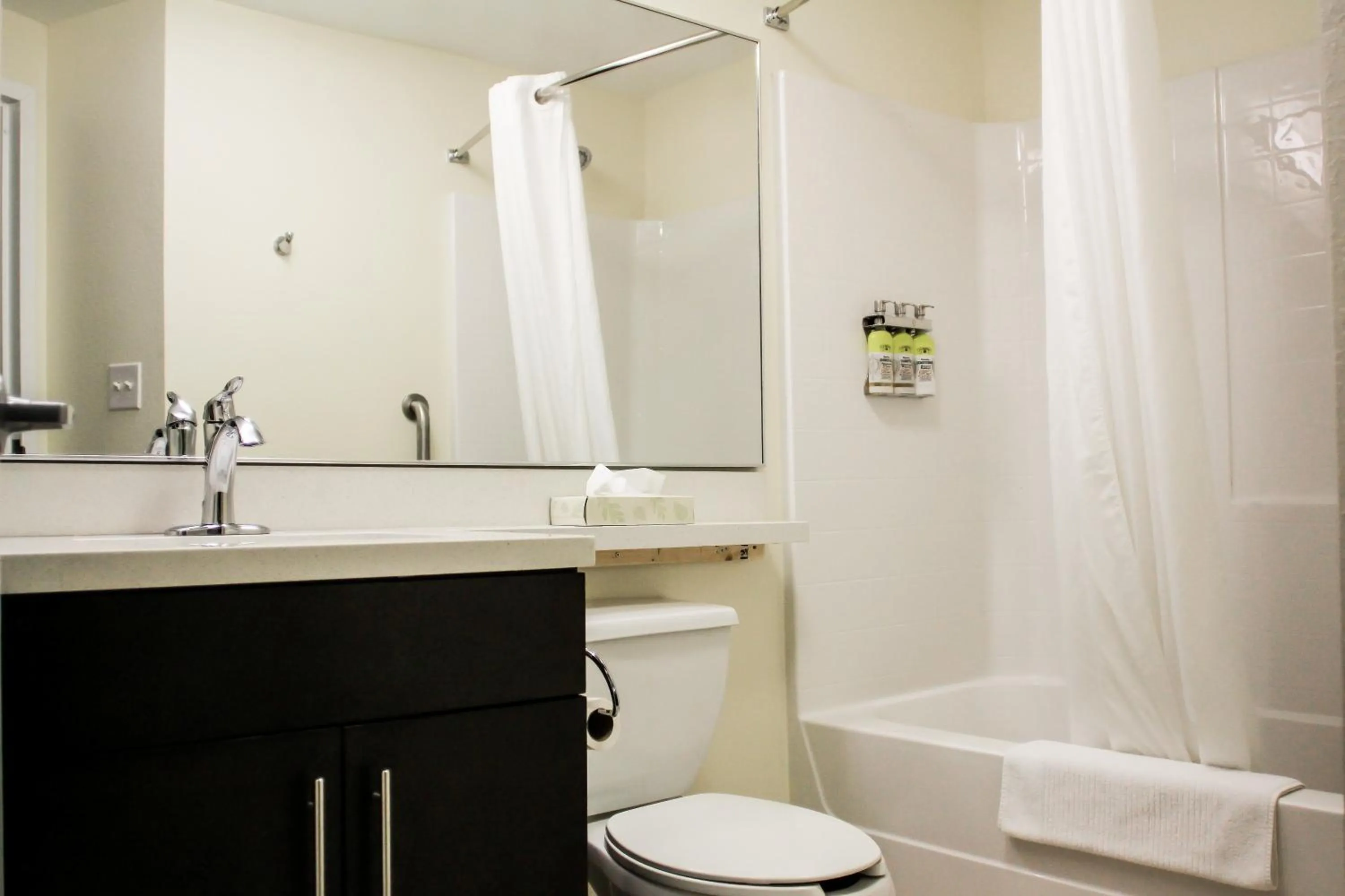 Bathroom in Candlewood Suites Richmond North-Glen Allen by IHG