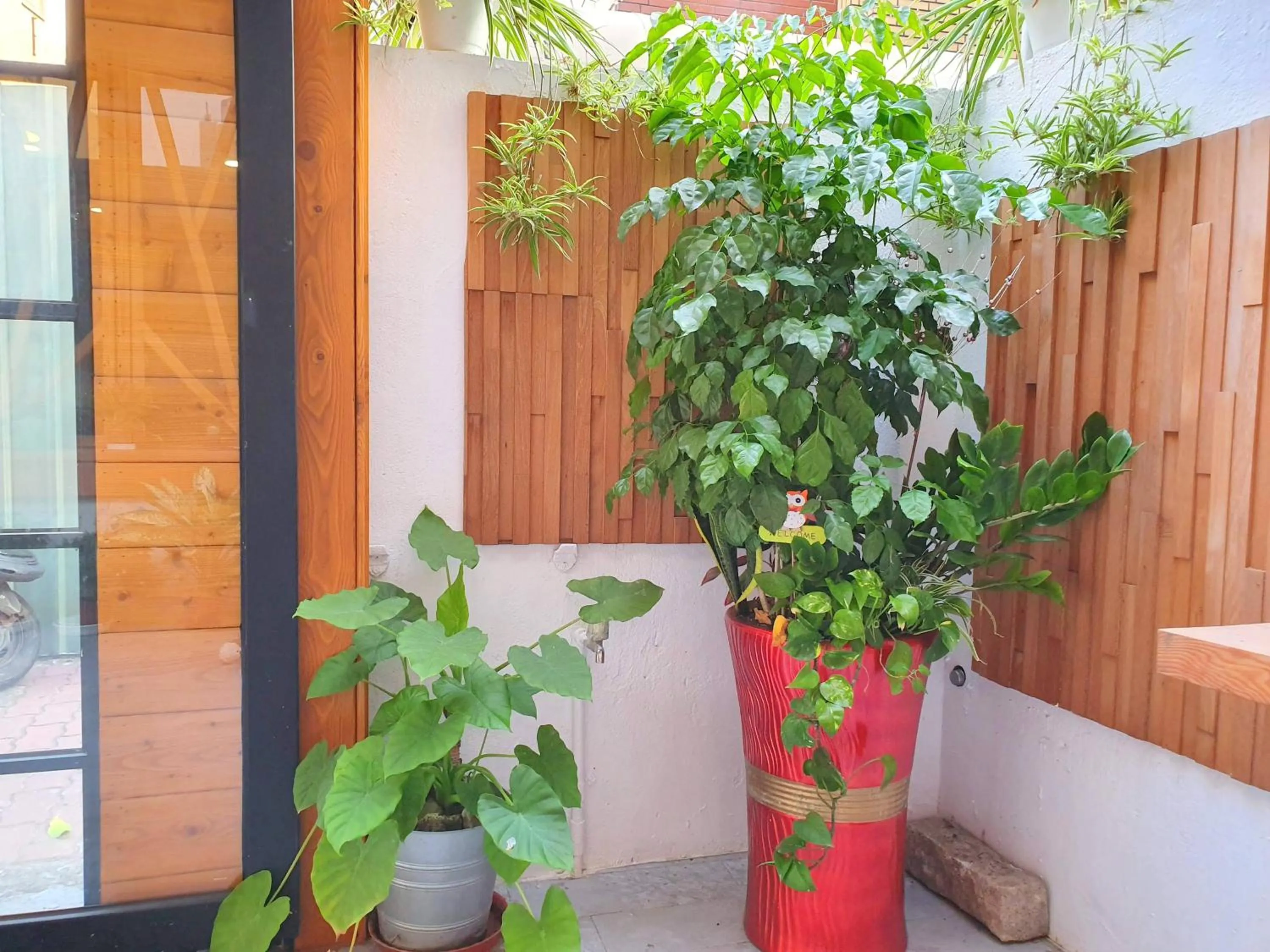 Facade/entrance in Honey House Tainan