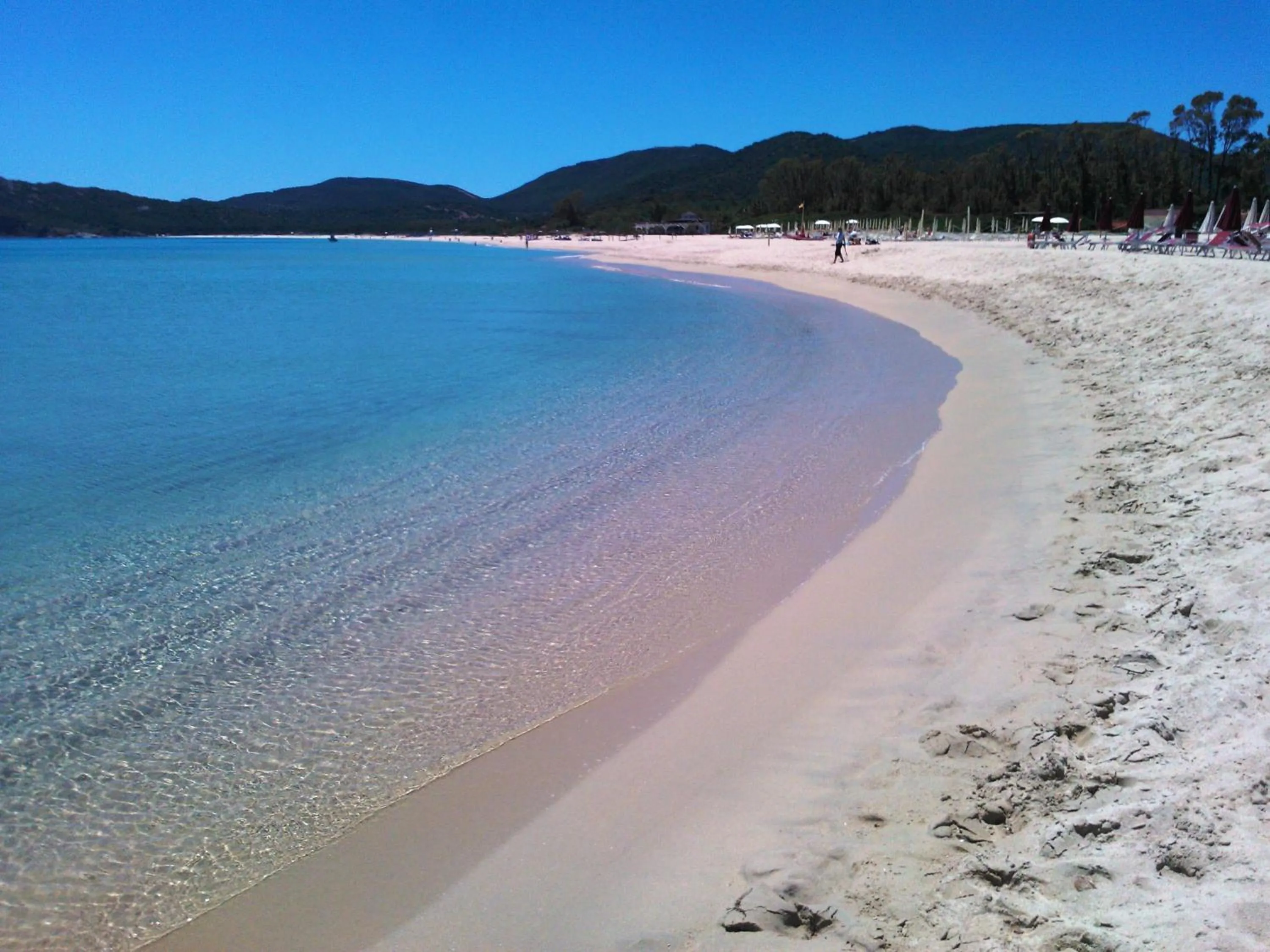 Beach in Alma Resort