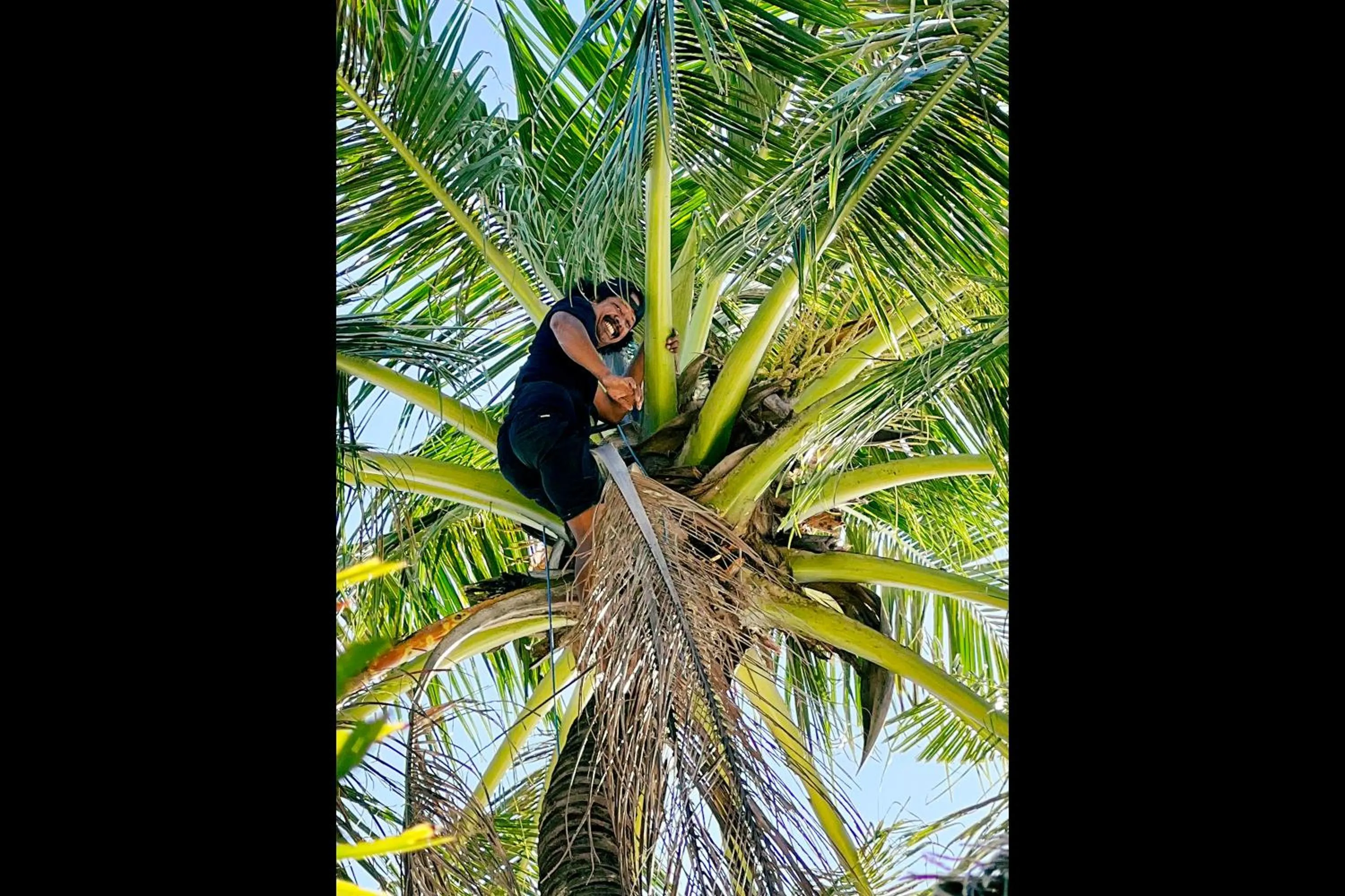 Garden in Rascals Hotel - Adults Only