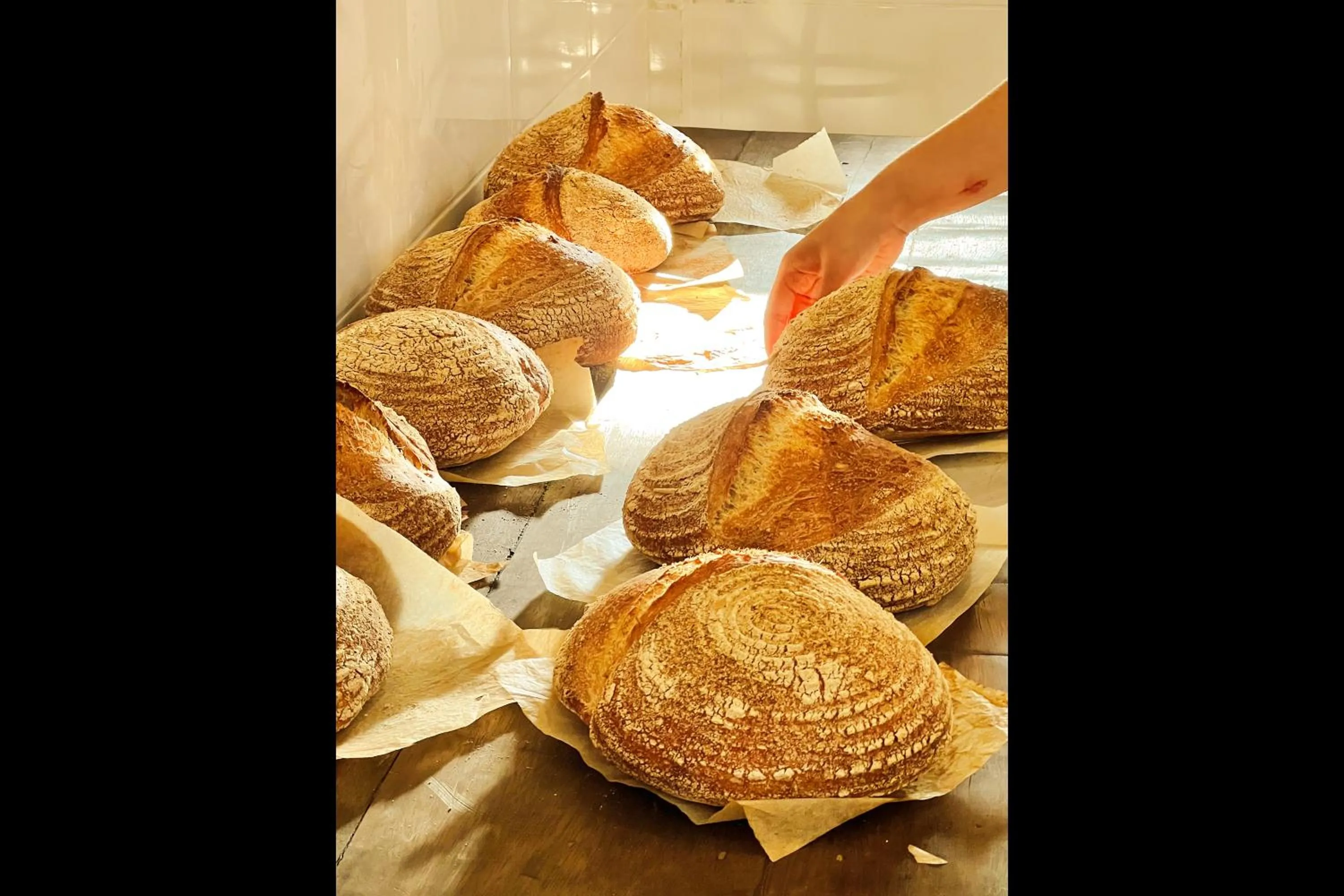 Food and drinks in Rascals Hotel - Adults Only