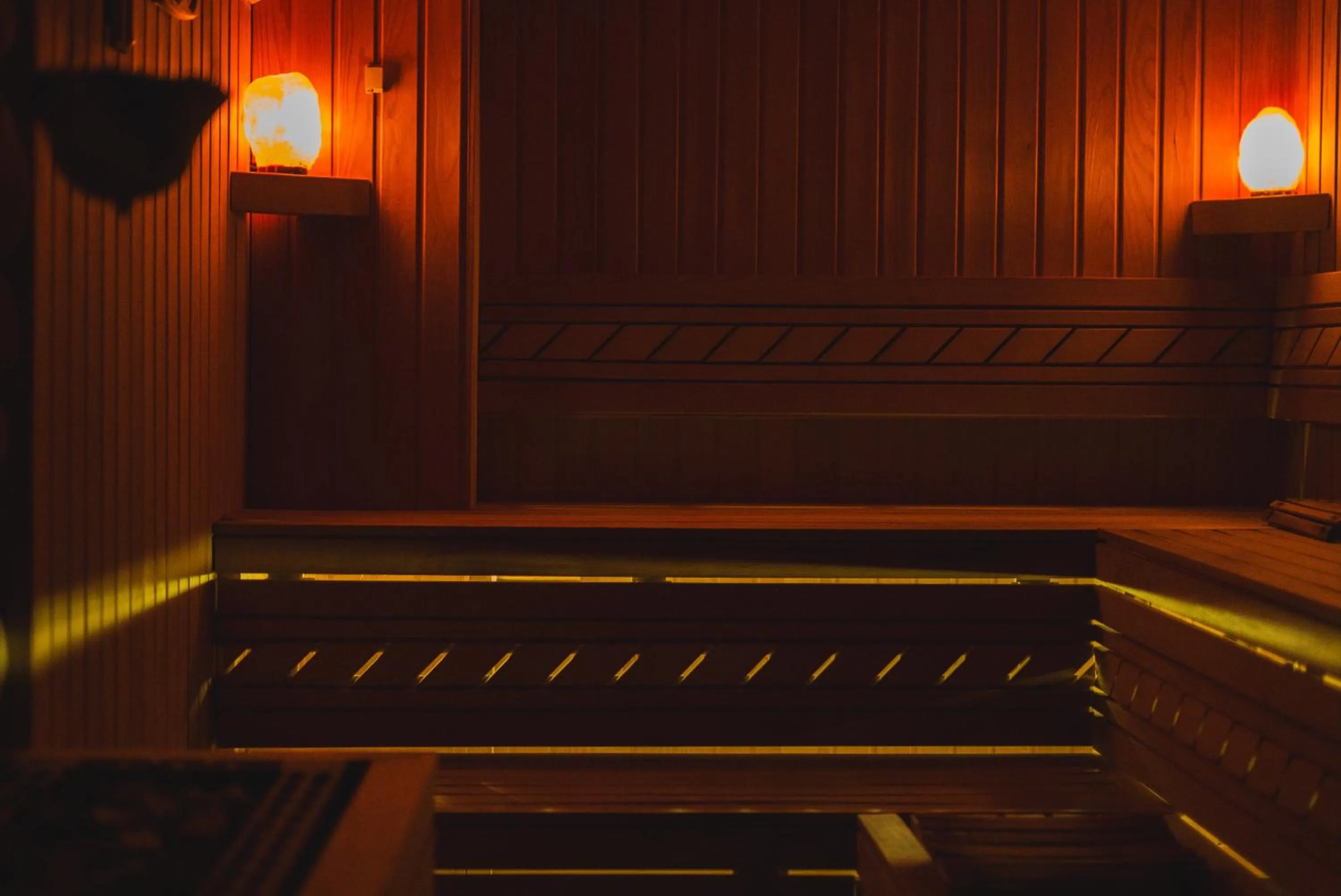 Spa and wellness centre/facilities in Hotel Alexandar Lux