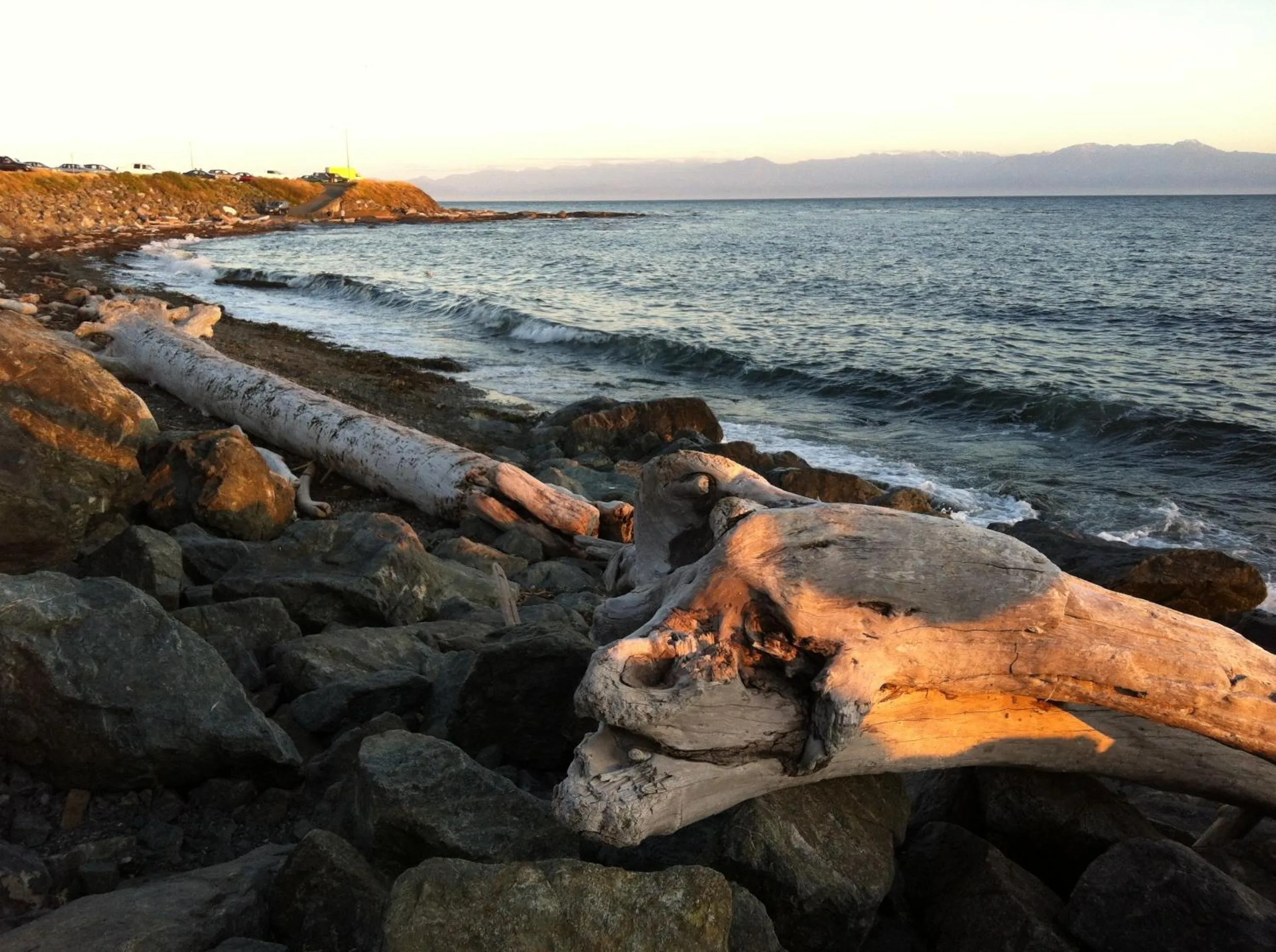 Area and facilities in Dashwood Manor Seaside Bed & Breakfast