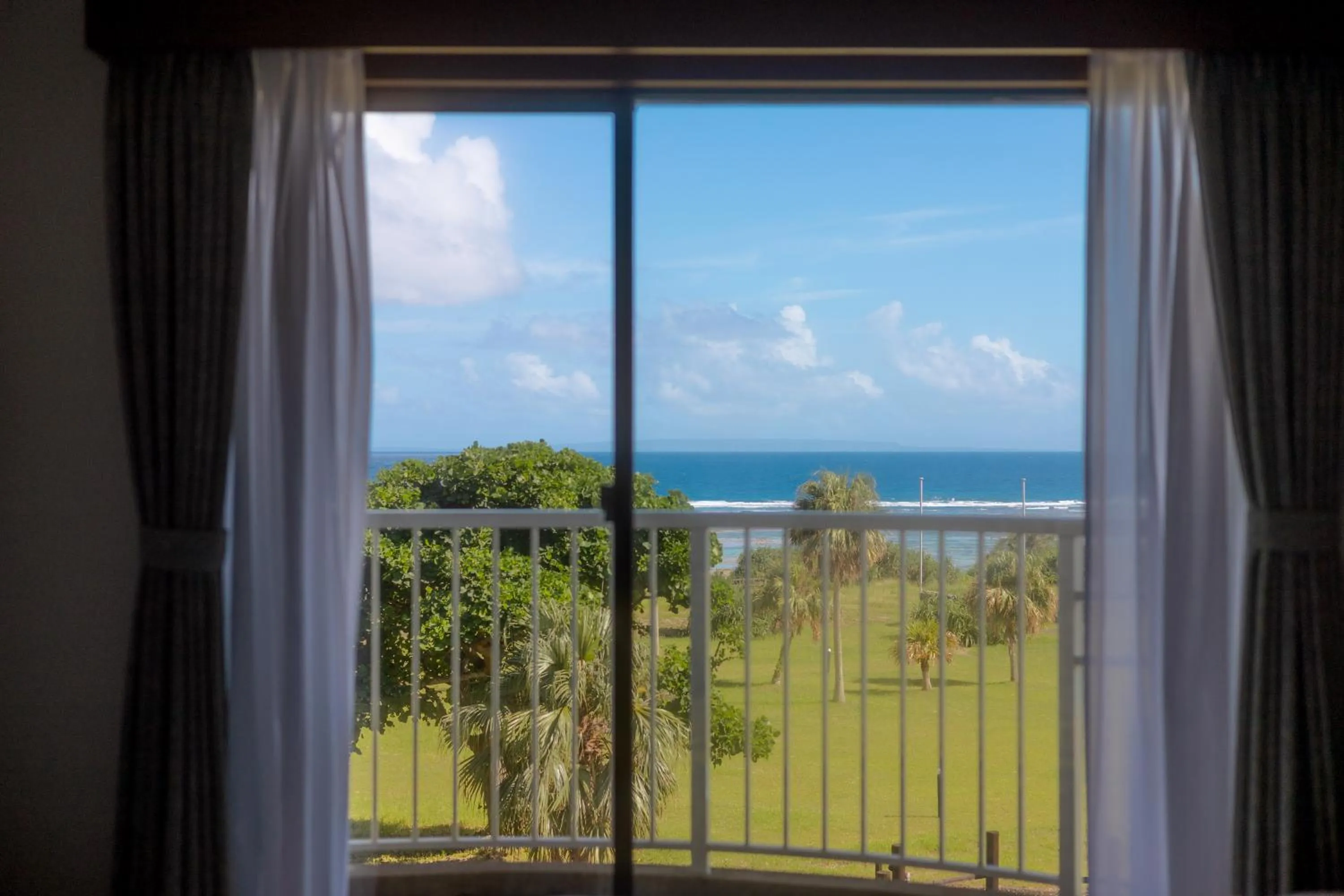 Natural landscape in Coral Palms