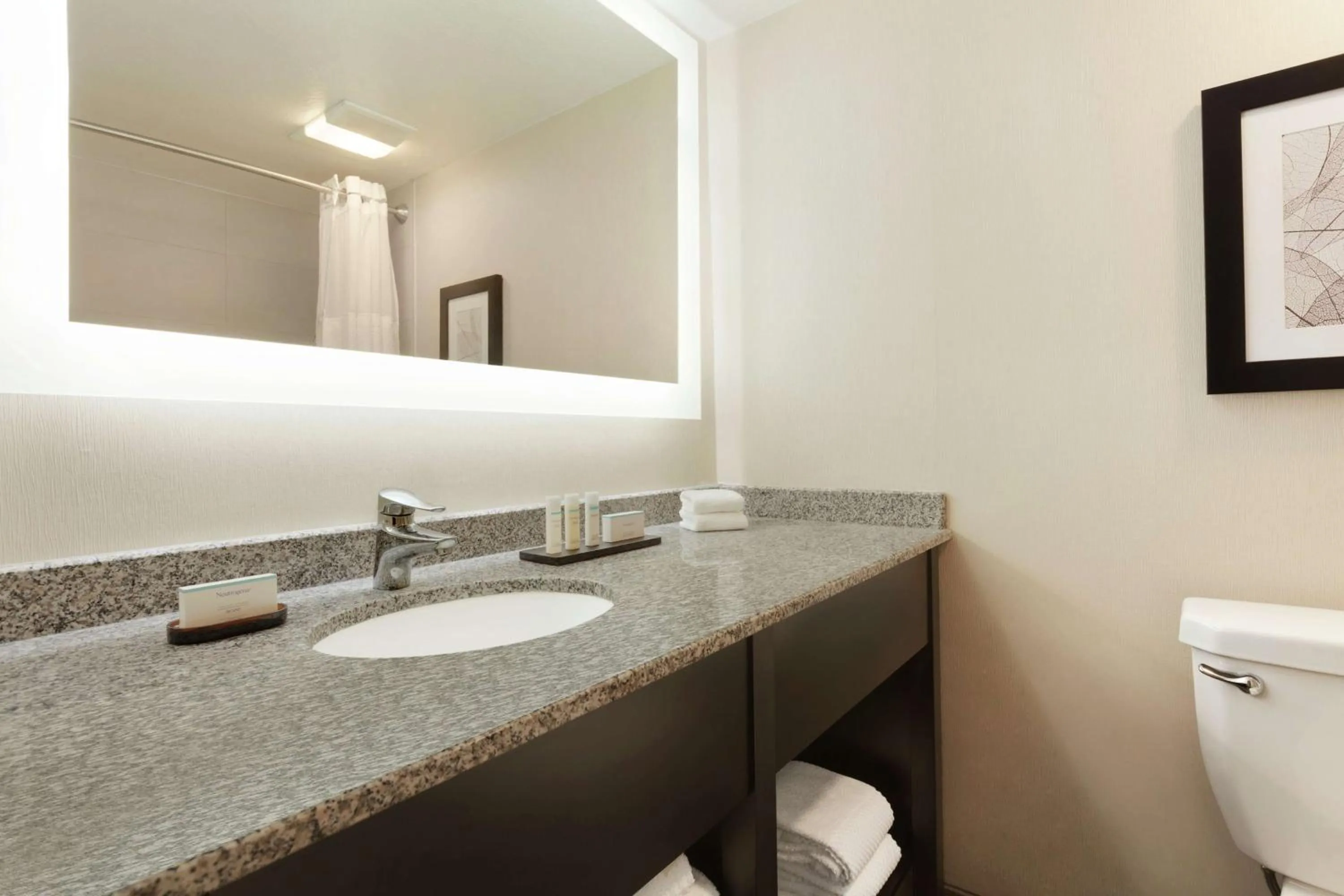 Bathroom in Embassy Suites by Hilton Arcadia-Pasadena Area