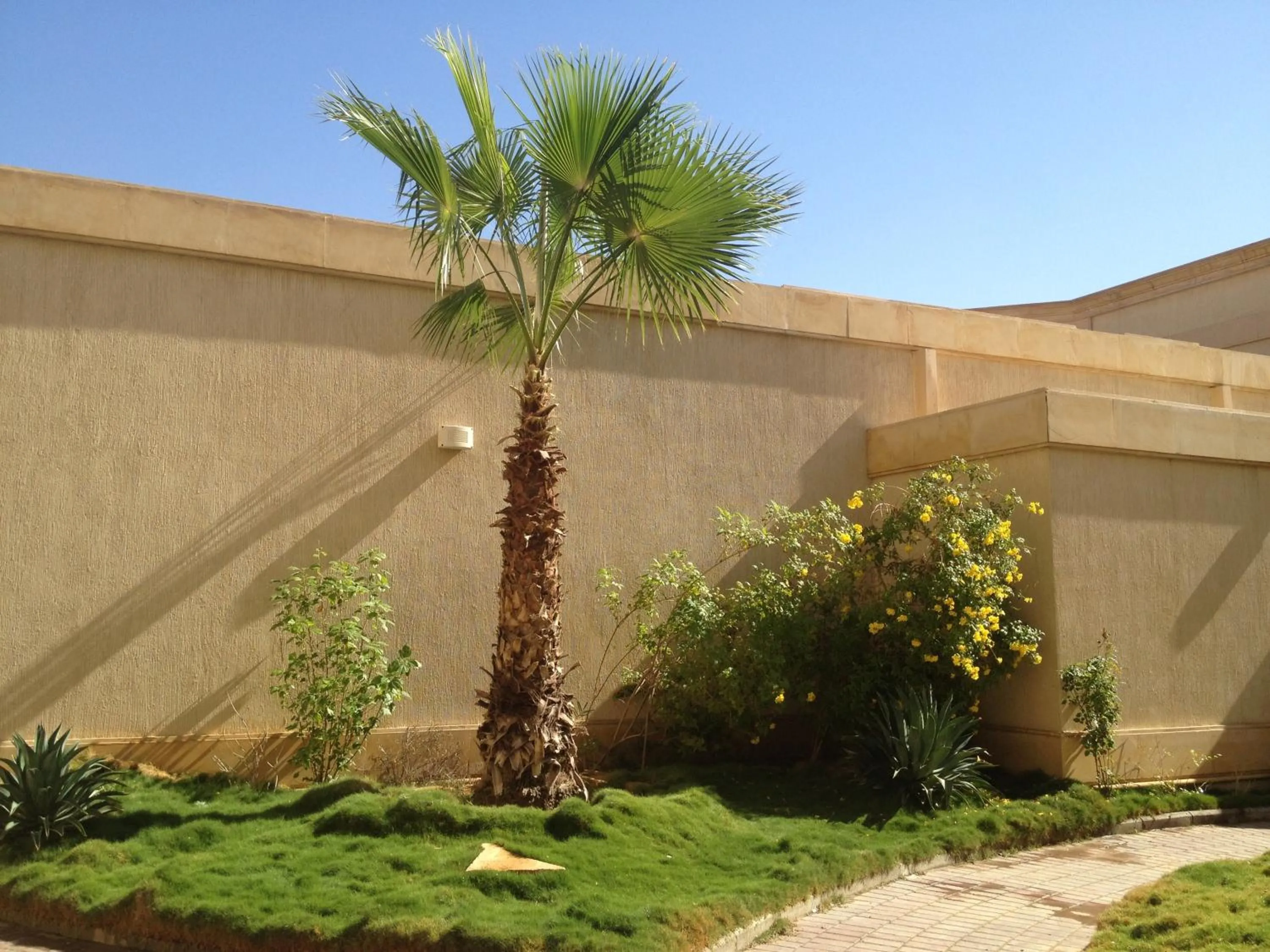 Day in Executives Hotel - Azizia