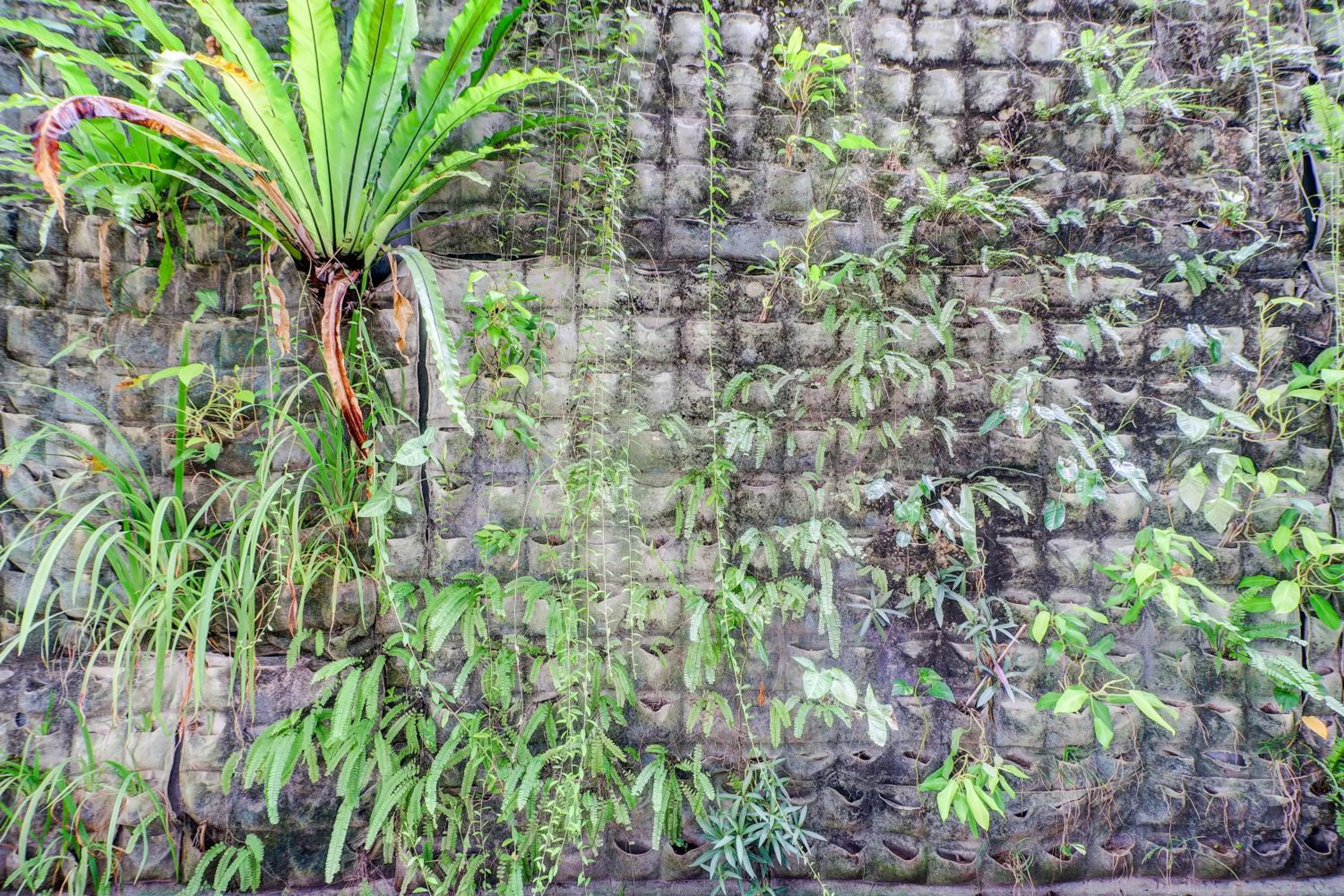 Area and facilities in Collection O Bali near Sanur Beach formerly Akarsa Kokoro