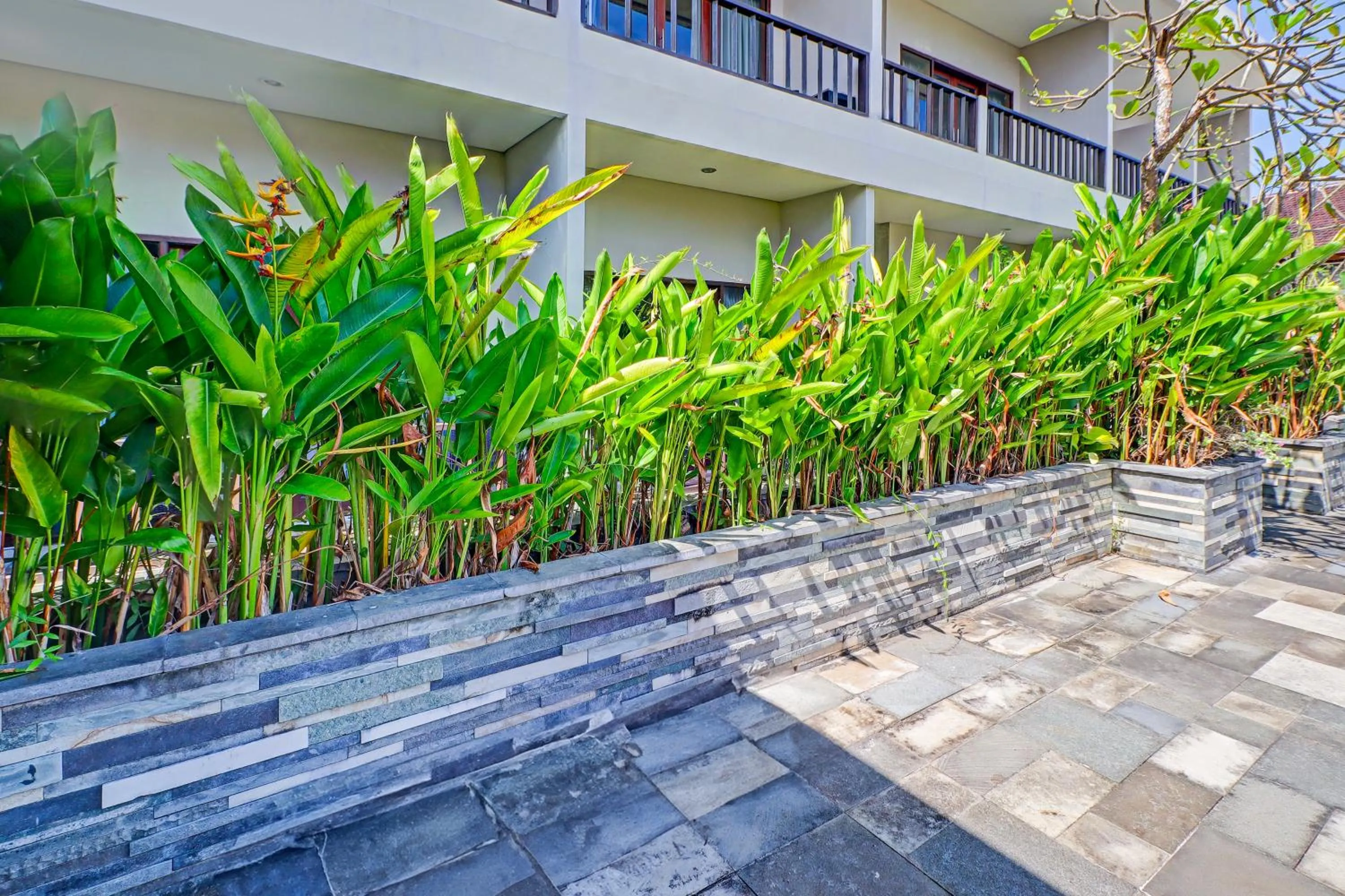 Area and facilities in Collection O Bali near Sanur Beach formerly Akarsa Kokoro