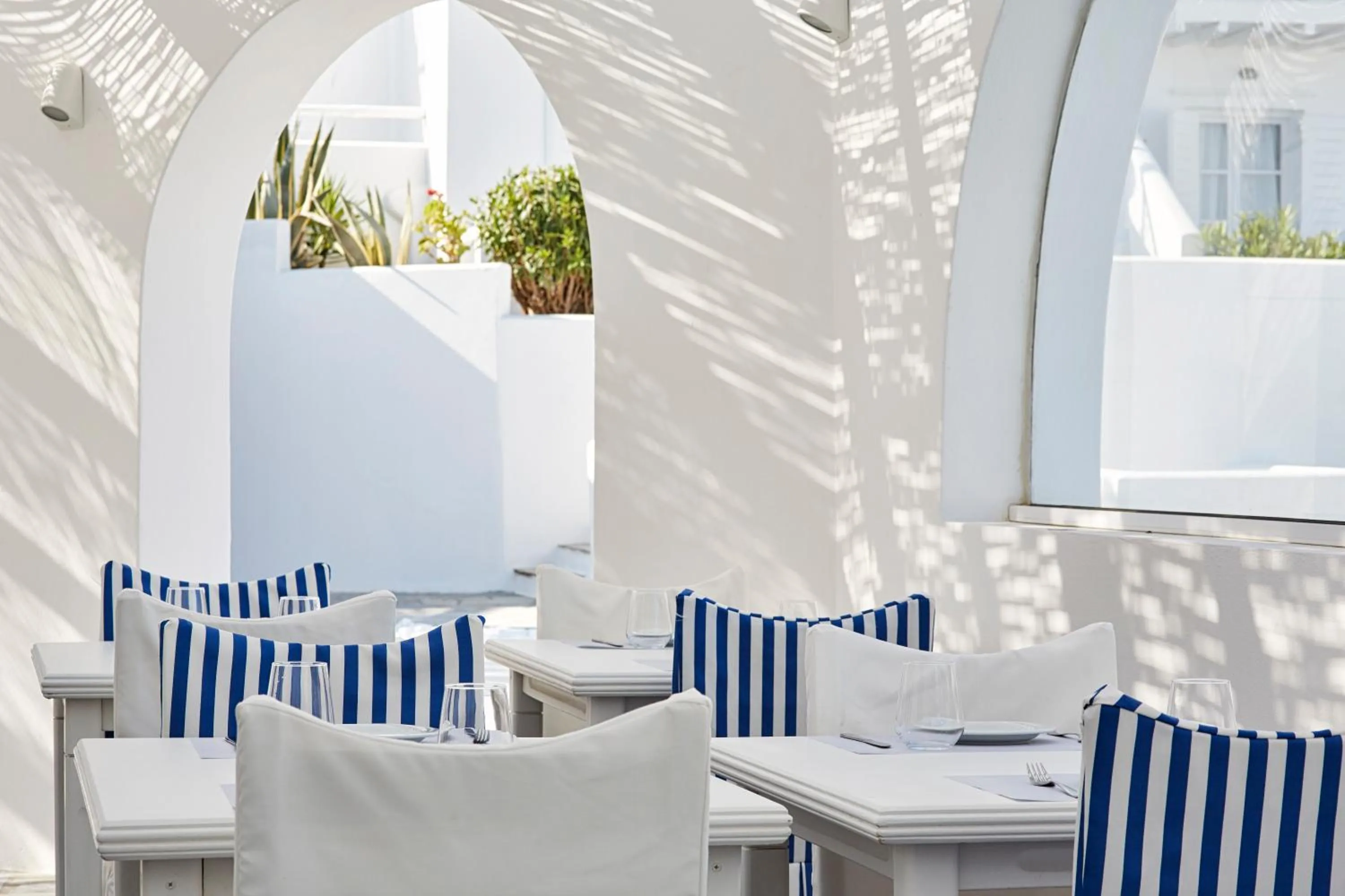 Restaurant/places to eat in Mr. and Mrs. White Tinos