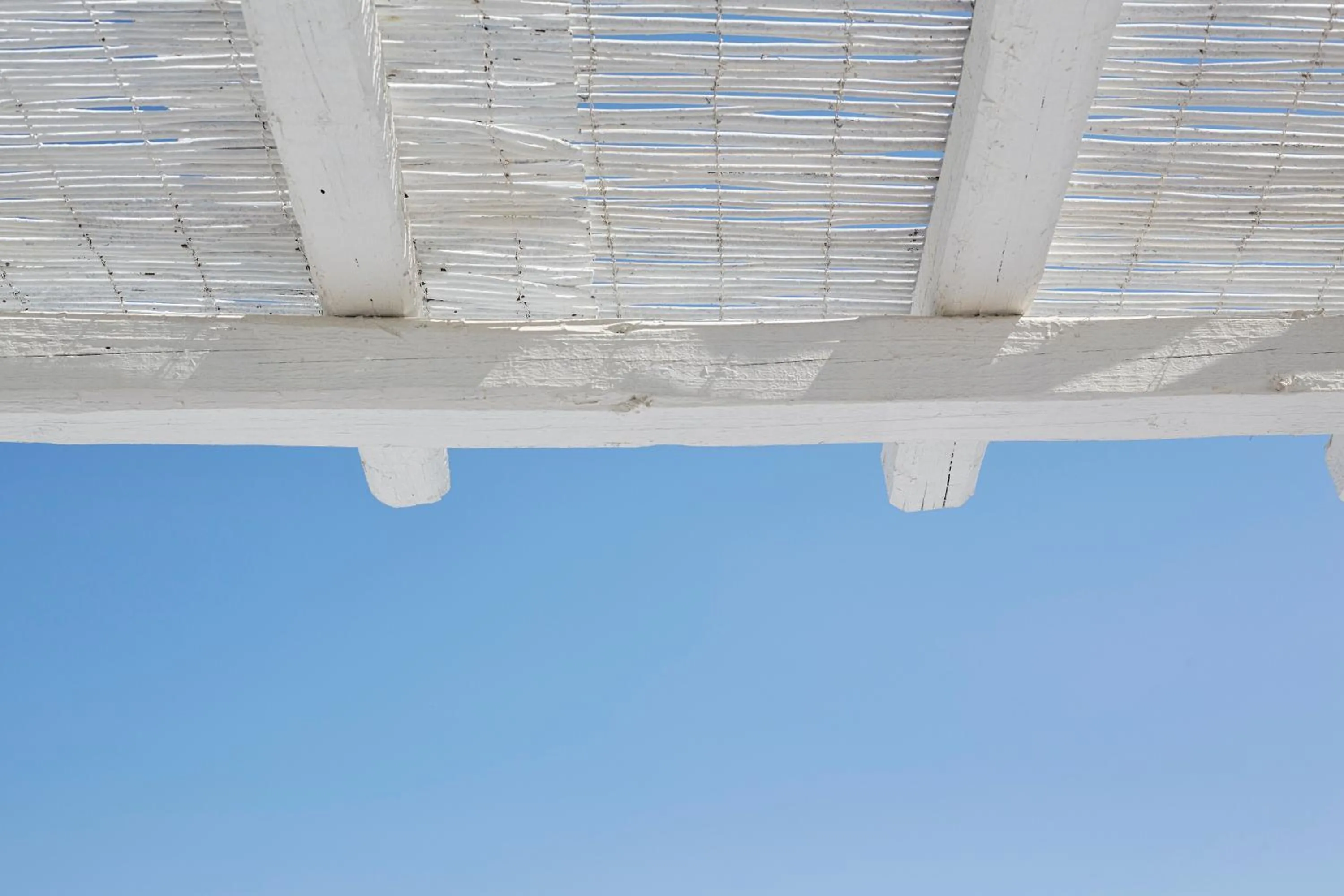 Decorative detail in Mr. and Mrs. White Tinos