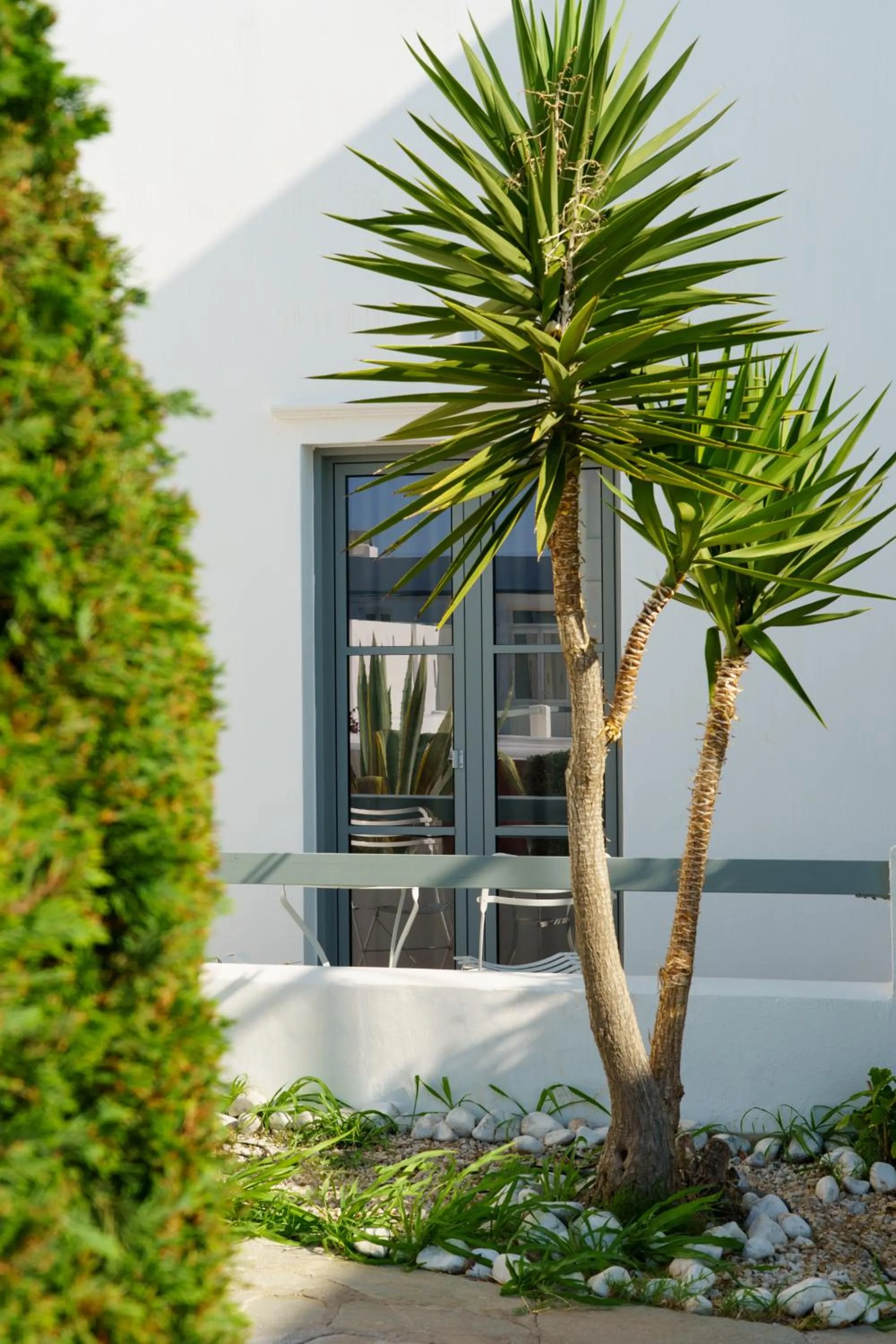 Property building in Mr. and Mrs. White Tinos