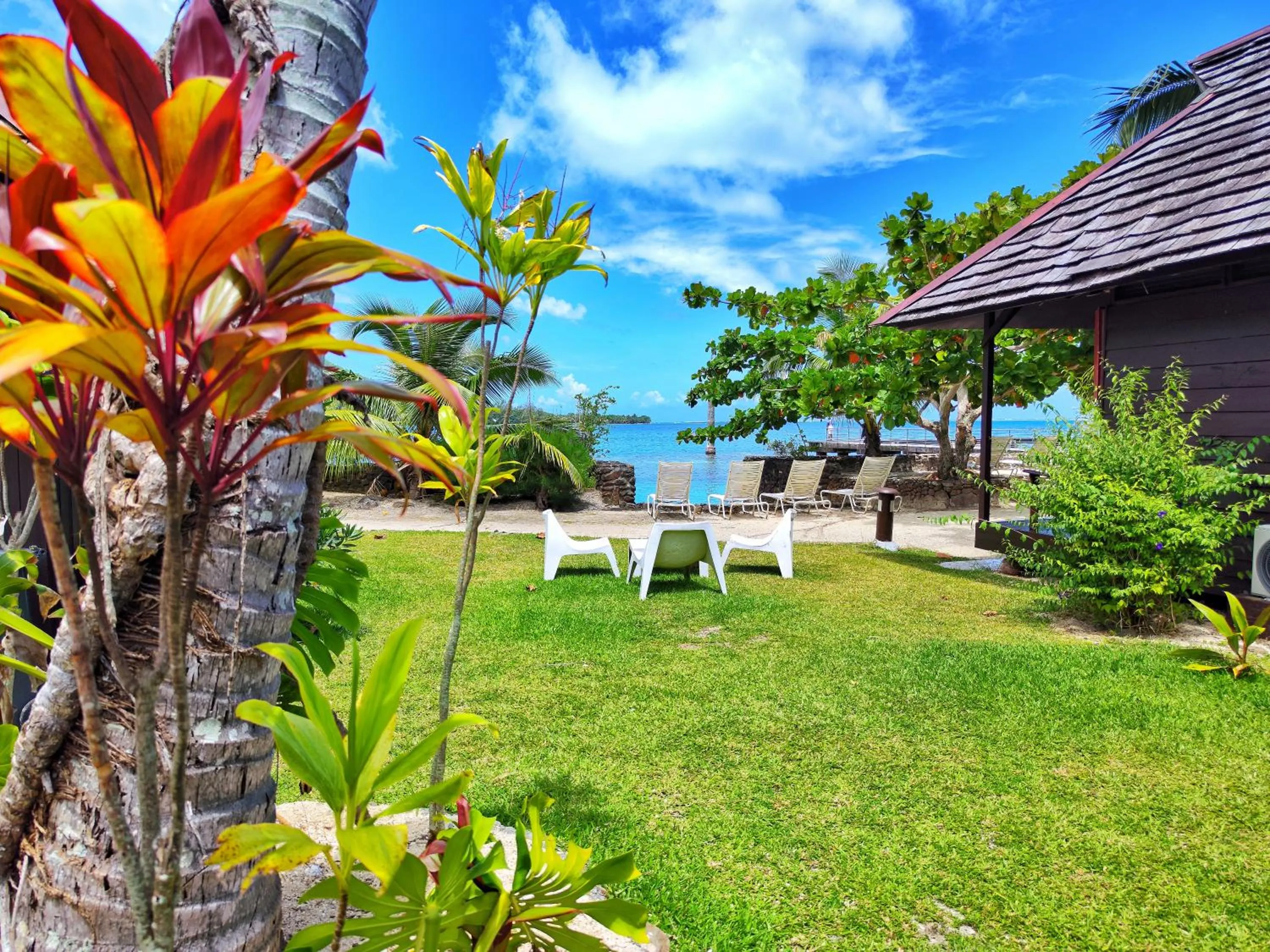 Garden view in Hotel Kaveka
