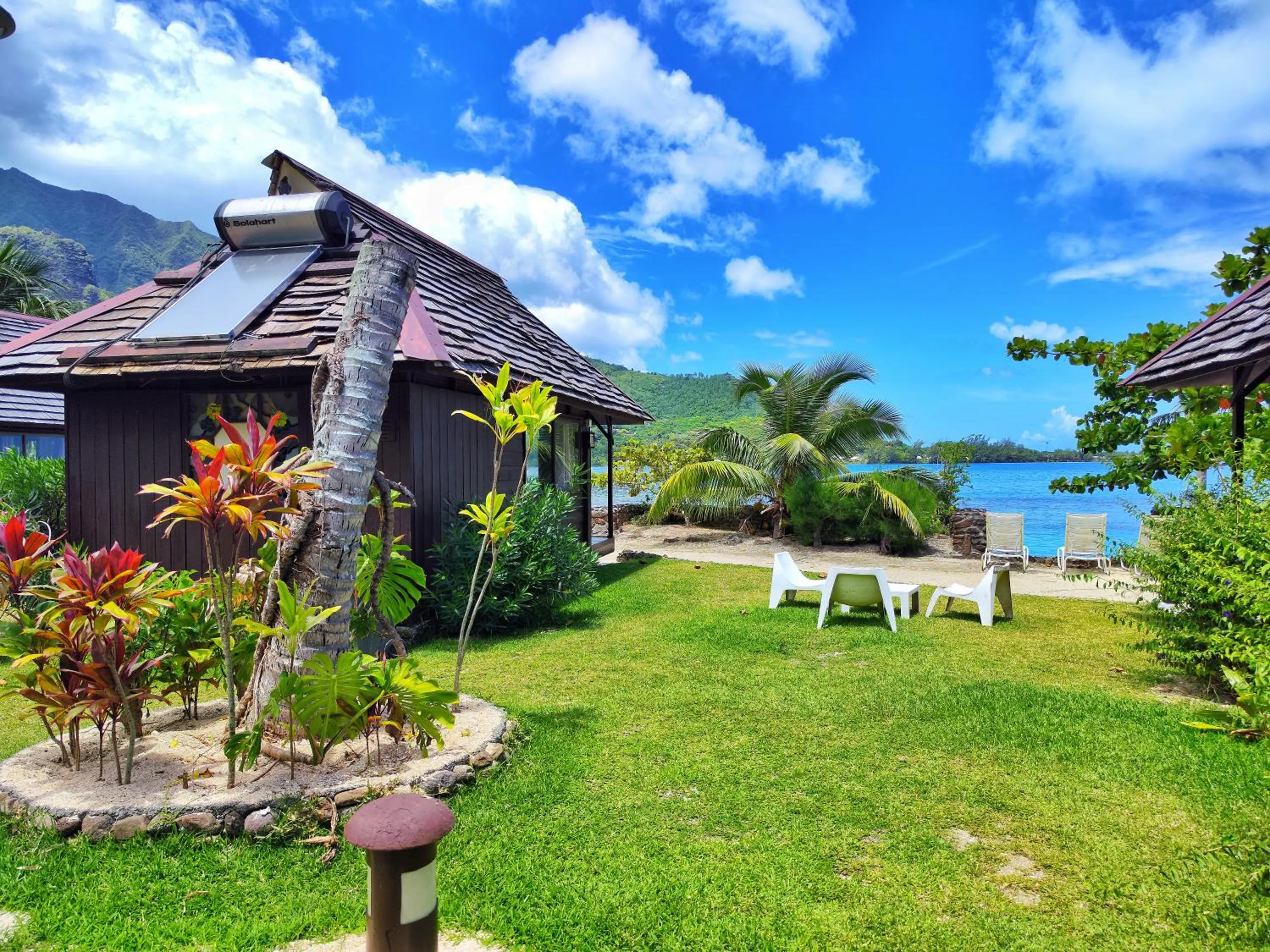 Garden view in Hotel Kaveka