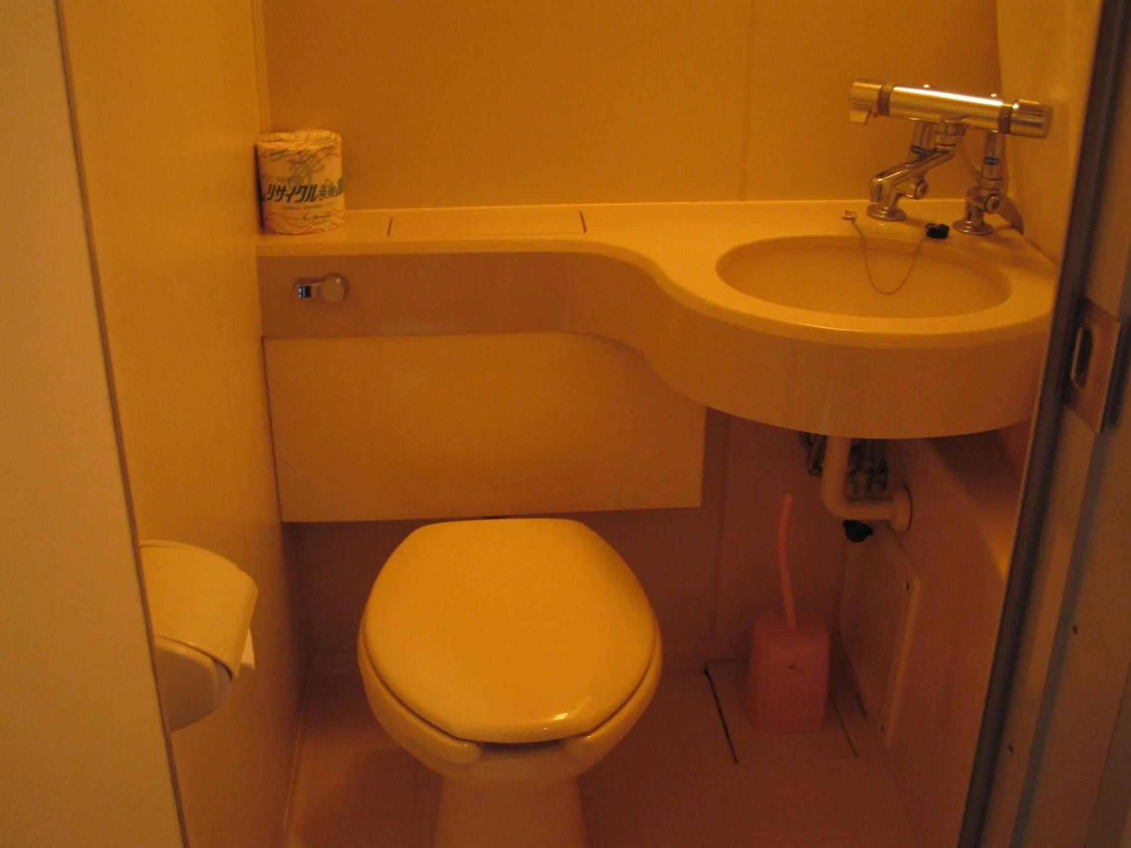 Toilet in Sunplaza Rinkai