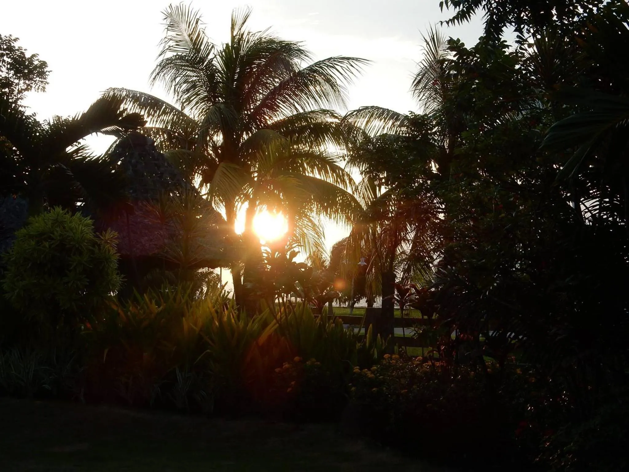 Garden in Mount Sea Resort
