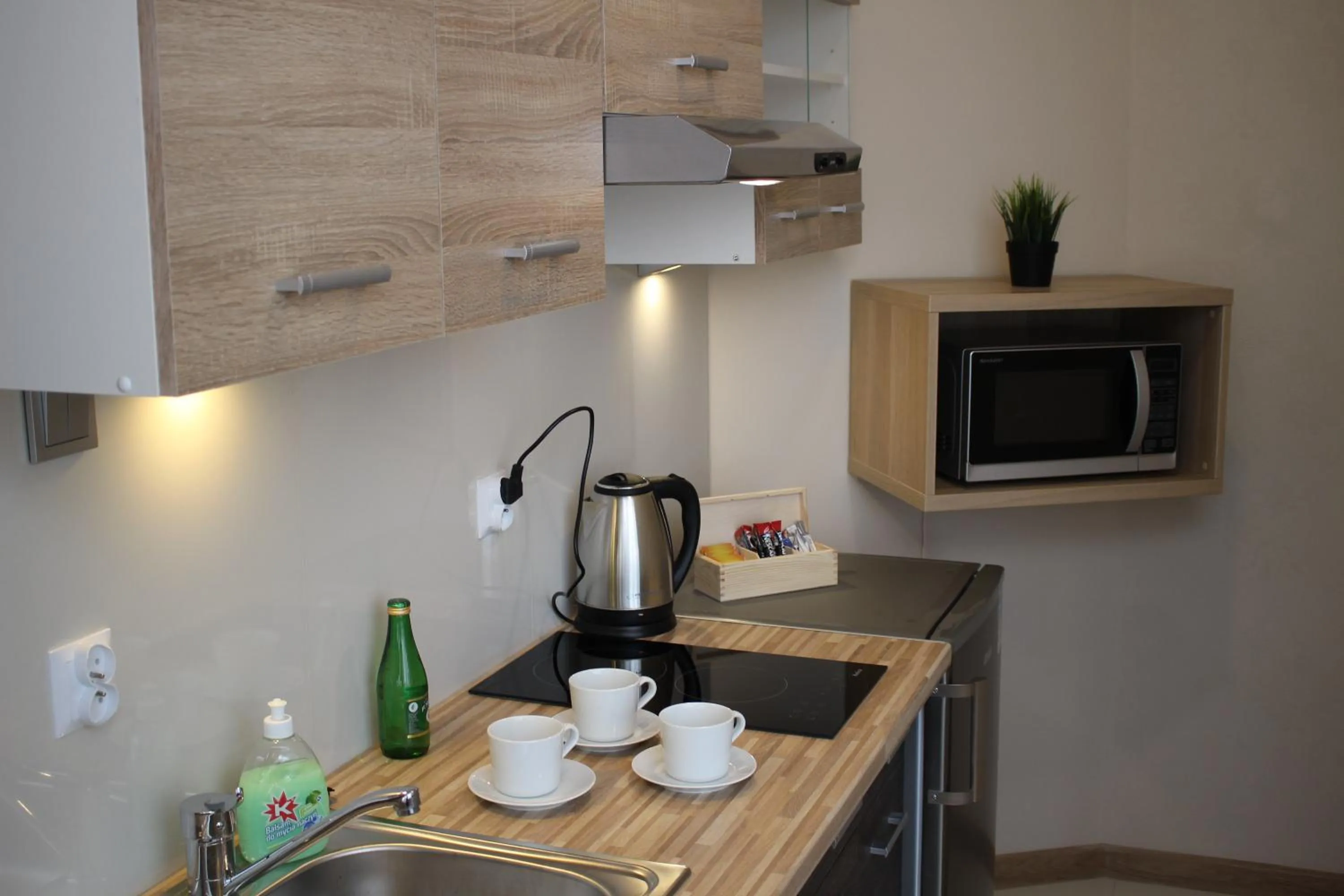 Kitchen or kitchenette in Hotel 1