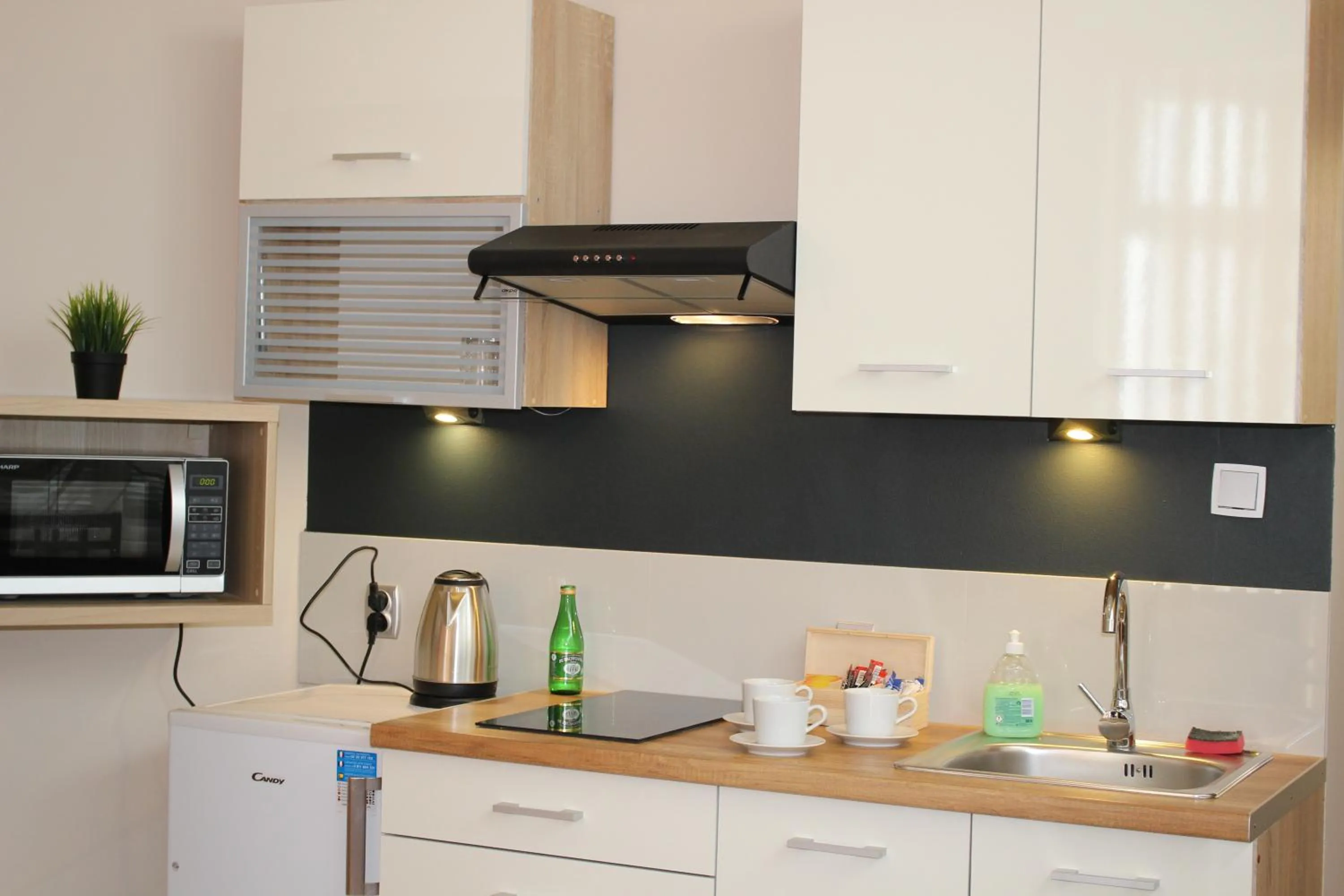 Kitchen or kitchenette in Hotel 1