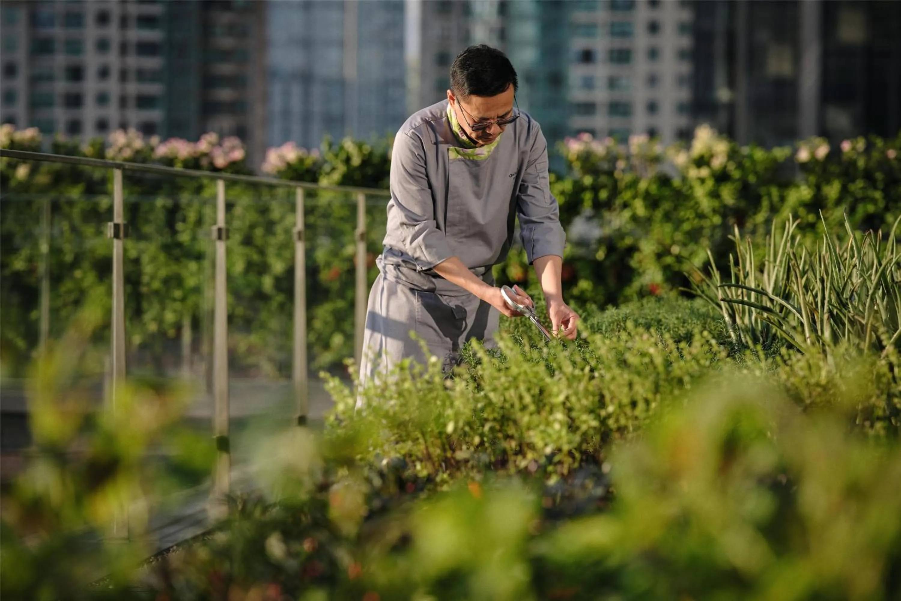 Garden in Alila Shanghai