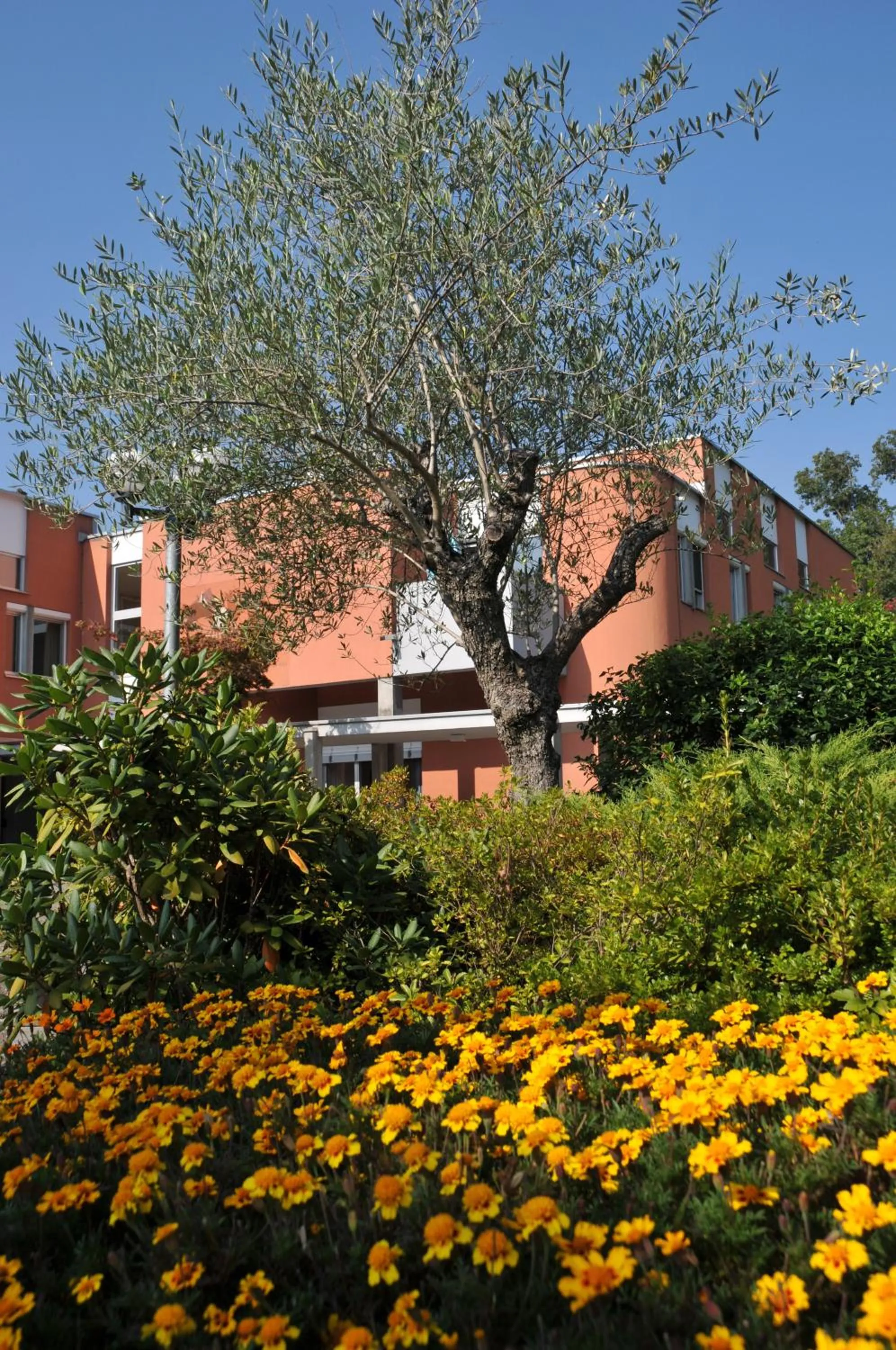 Facade/entrance in Centro Magliaso