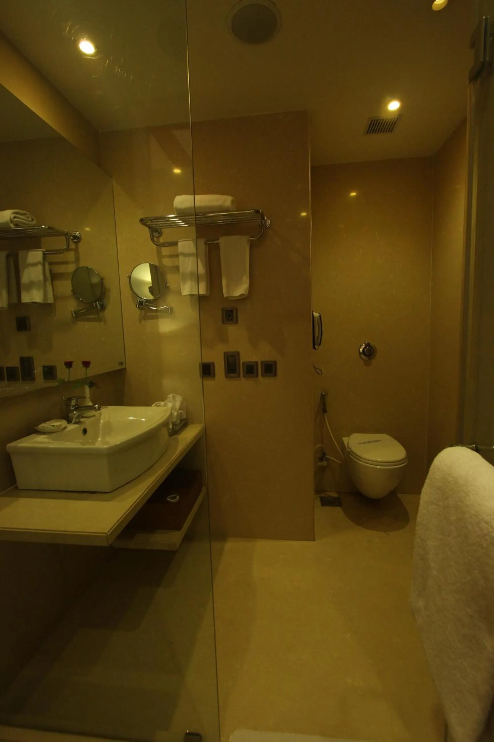 Bathroom in The Cambay Grand