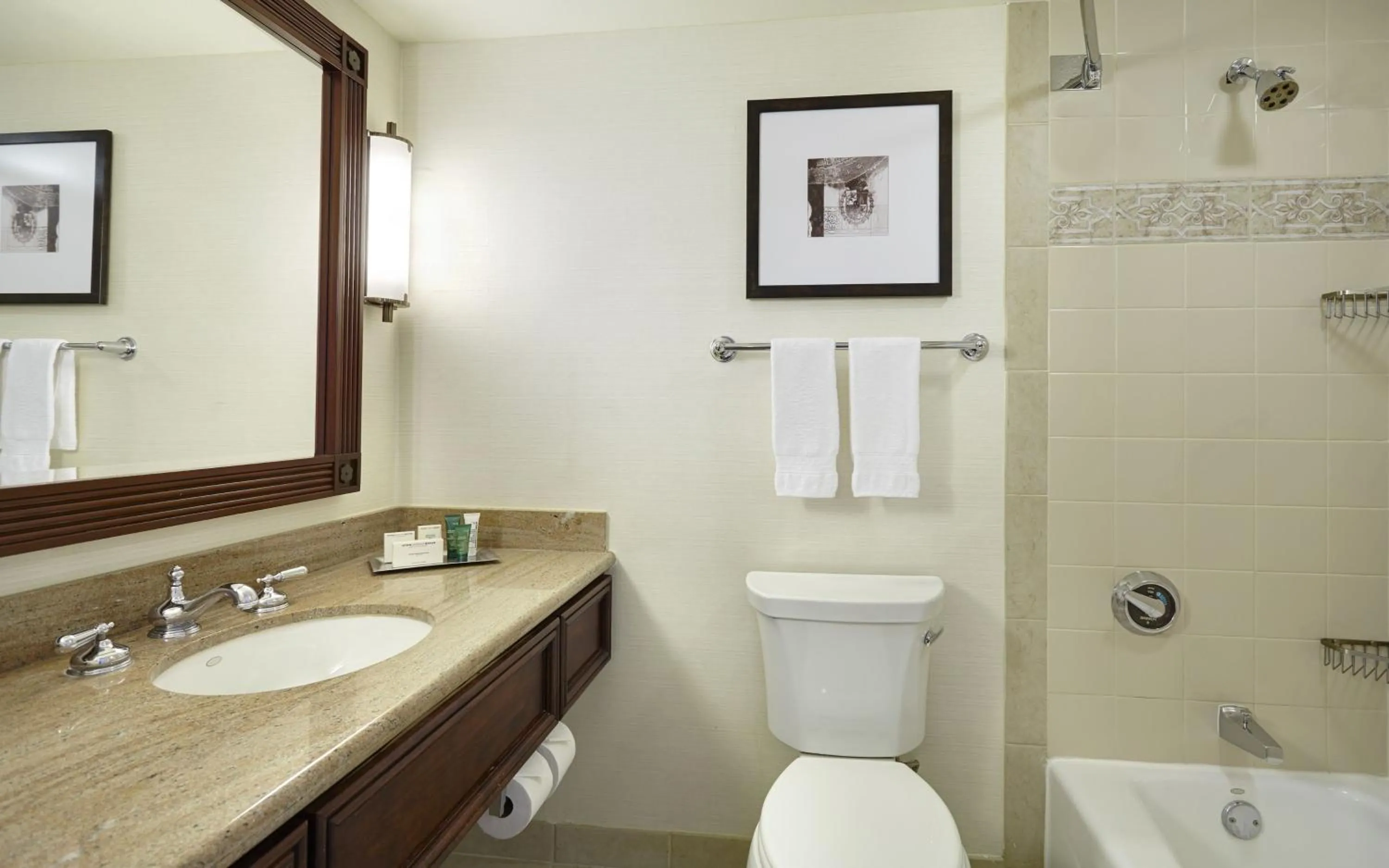 Bathroom in Hilton New Orleans Riverside