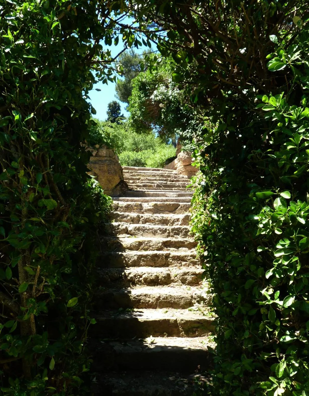 Garden in La Royante