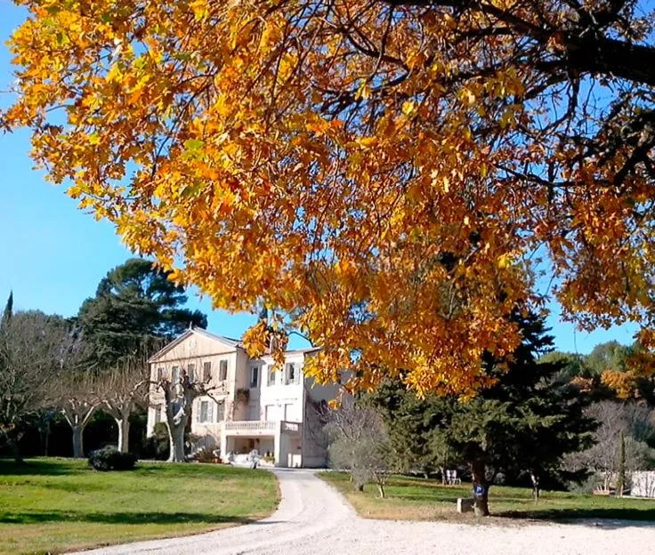 Garden in La Royante