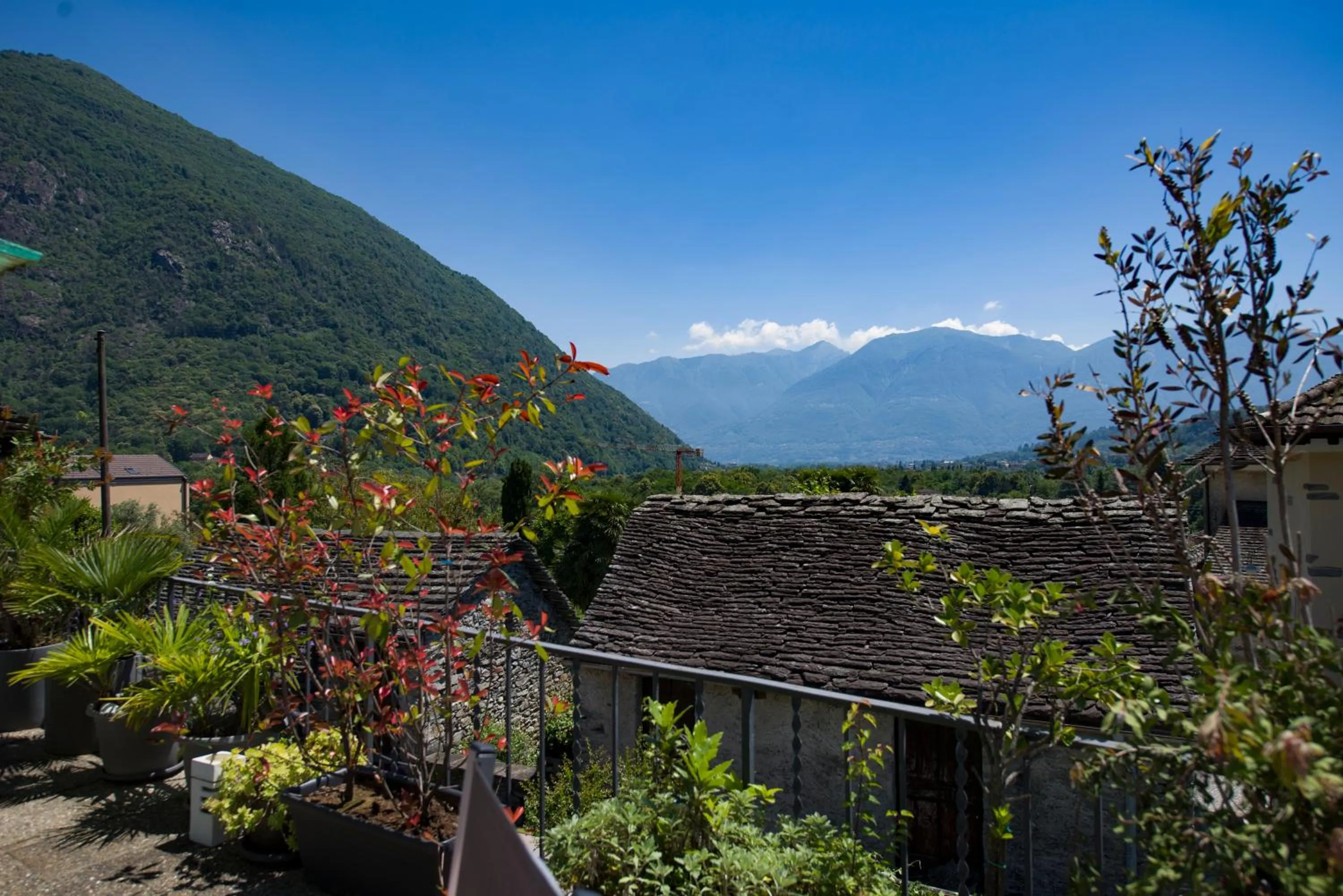 Nearby landmark in Alloggi Alla Cantina