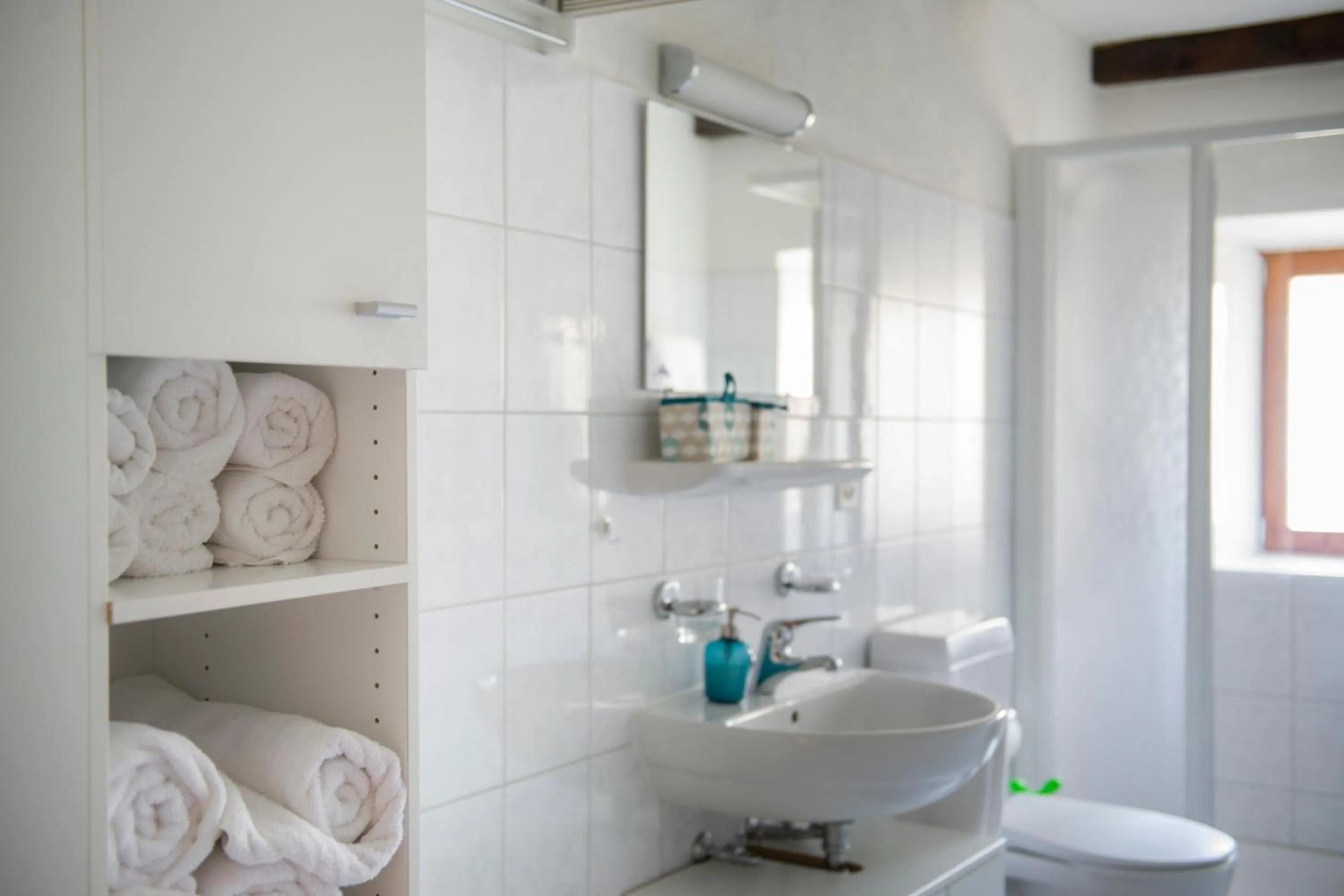 Shower in Alloggi Alla Cantina