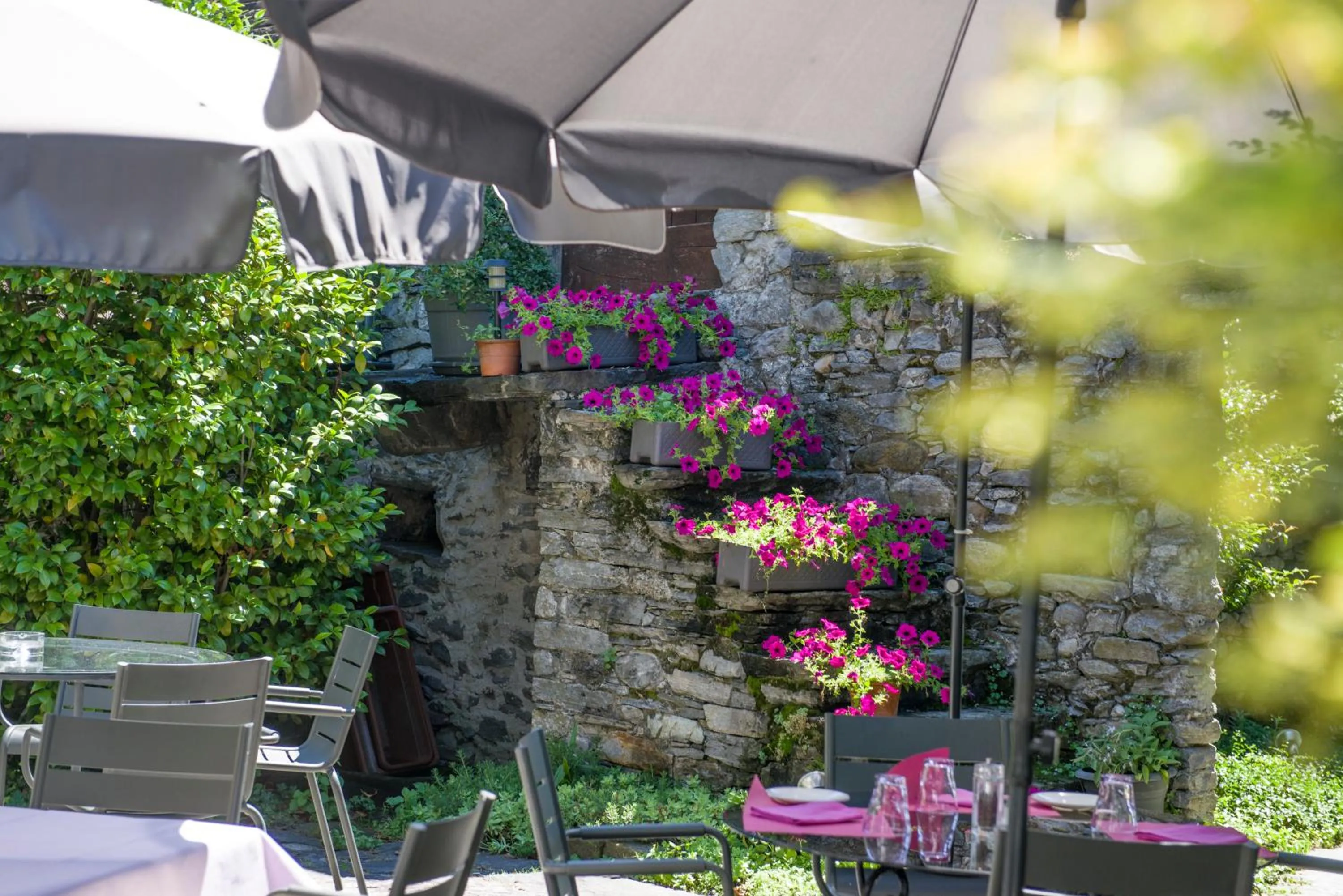 Garden view in Alloggi Alla Cantina