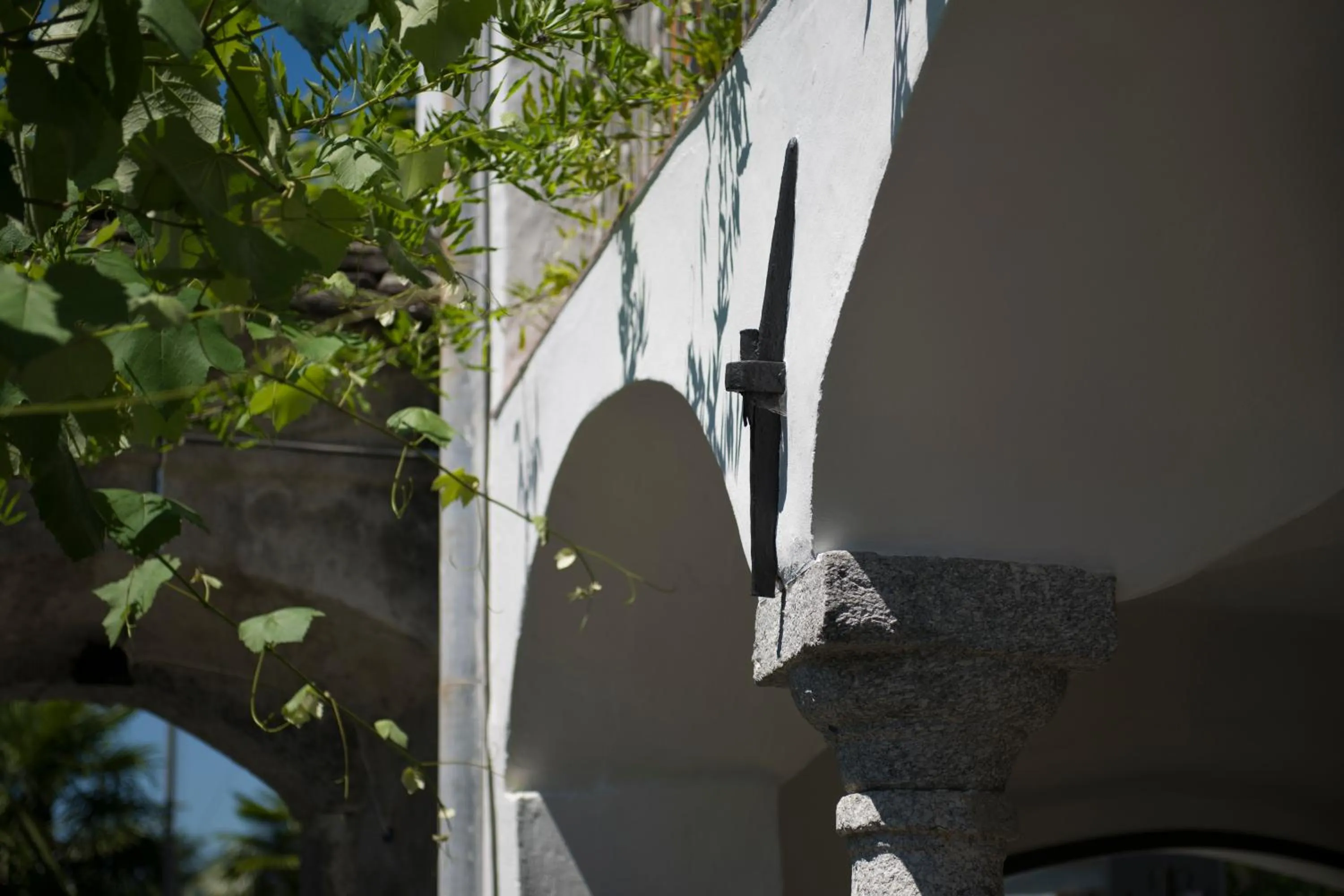 Garden in Alloggi Alla Cantina