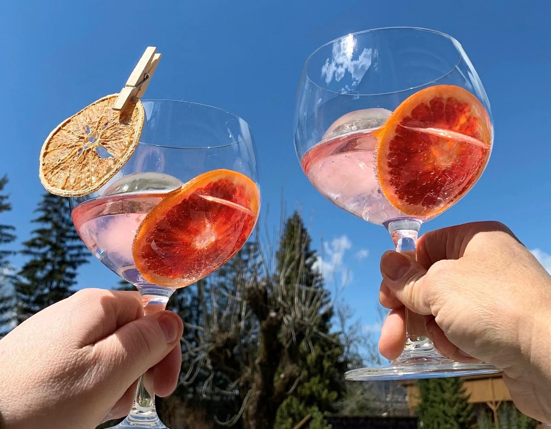 Food and drinks in Apparthotel Germania