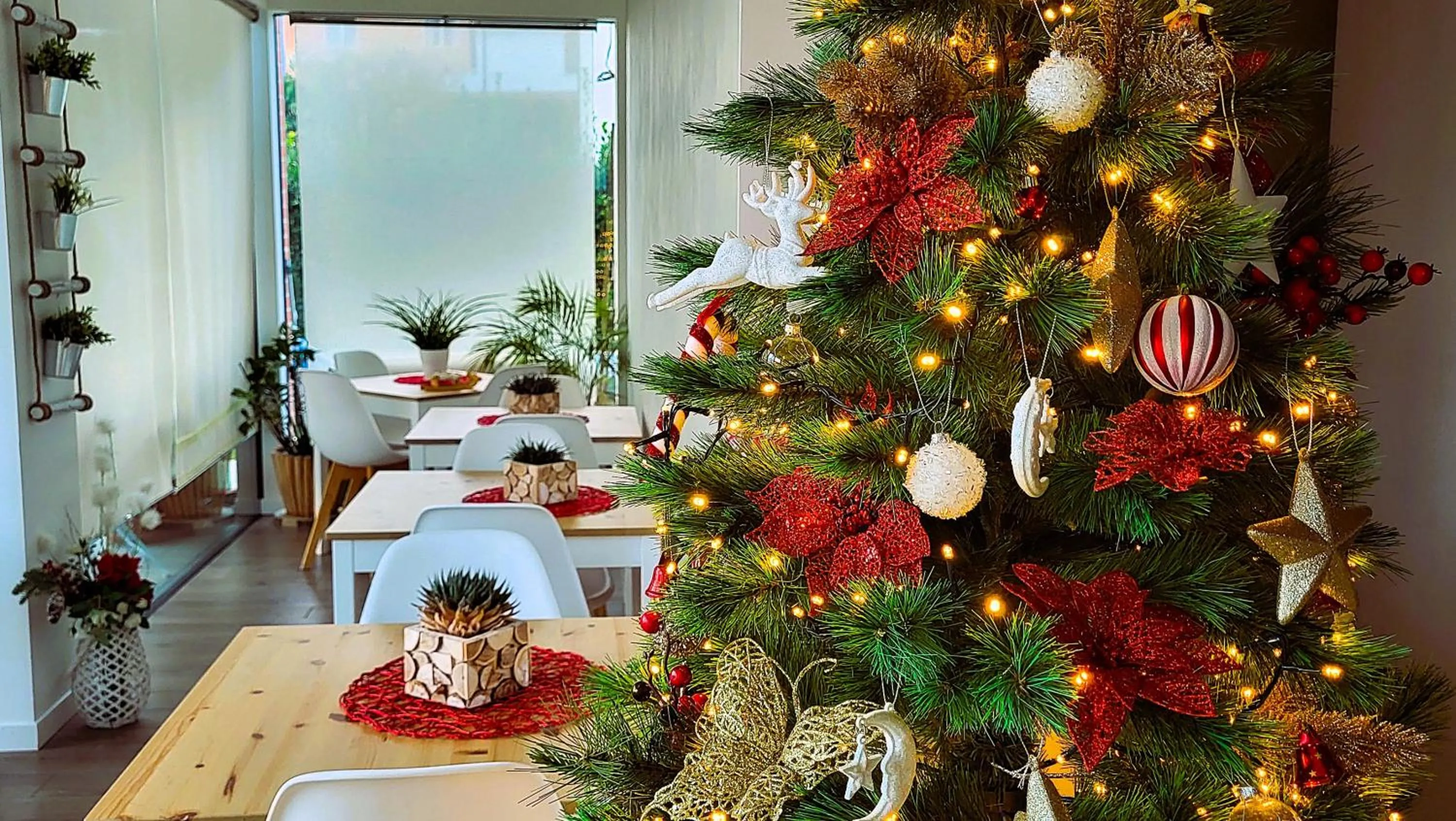 Winter in Stella del Garda