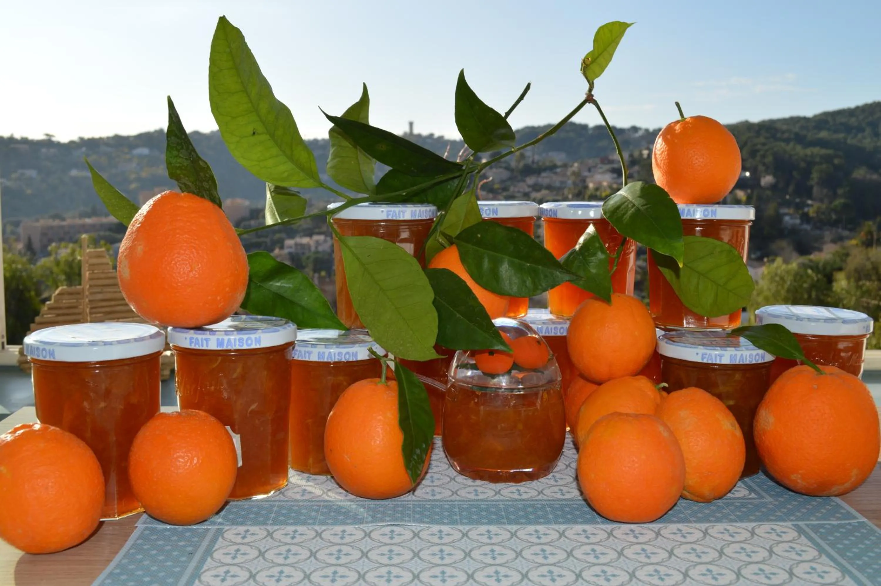 Garden view in Villa La Terre Des Lauriers