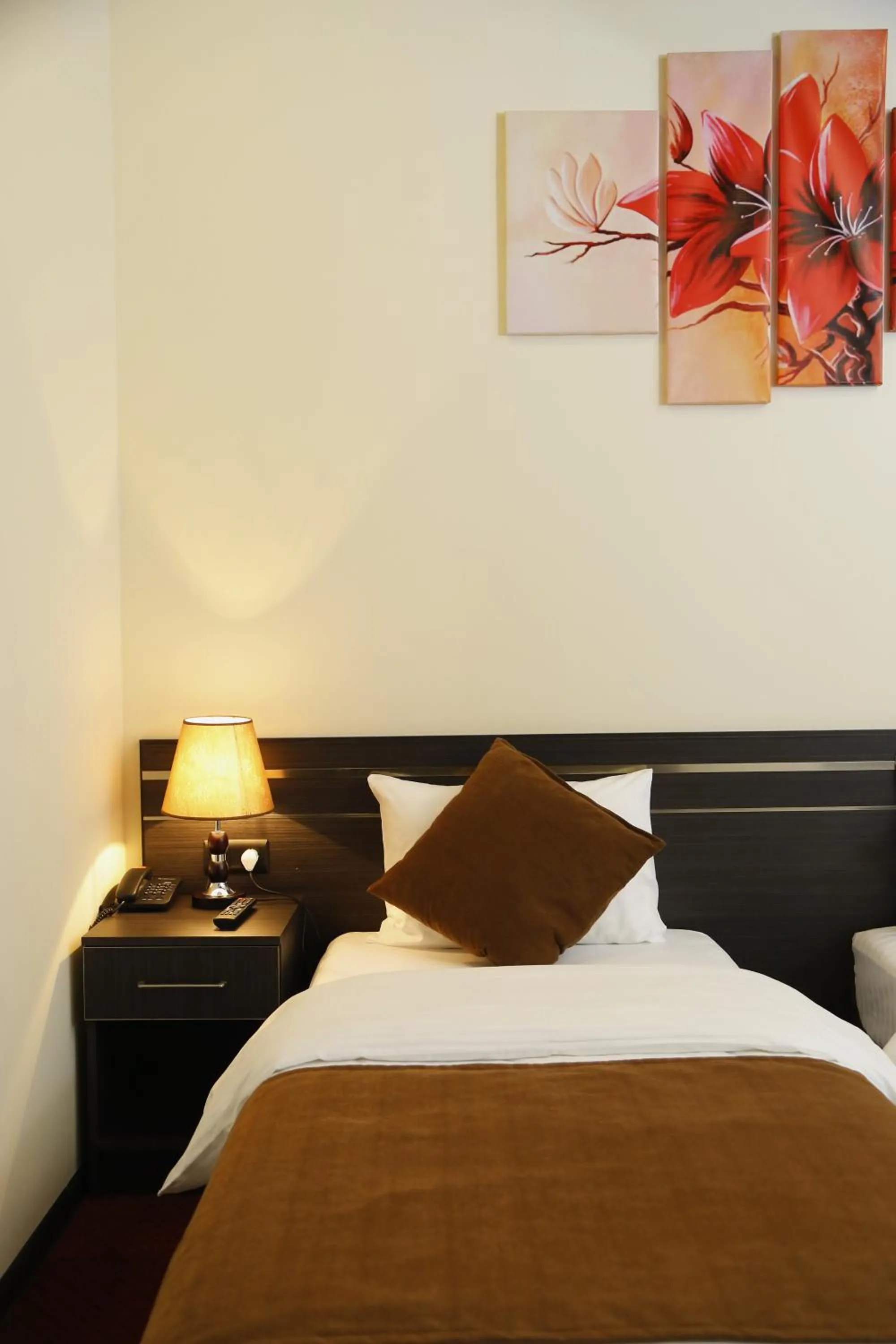 Standard Single Room in Tomu's Hotel