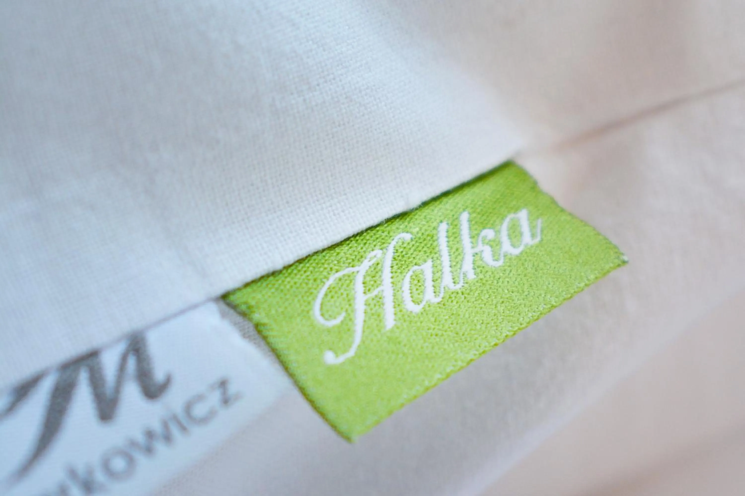 Decorative detail in Willa Halka