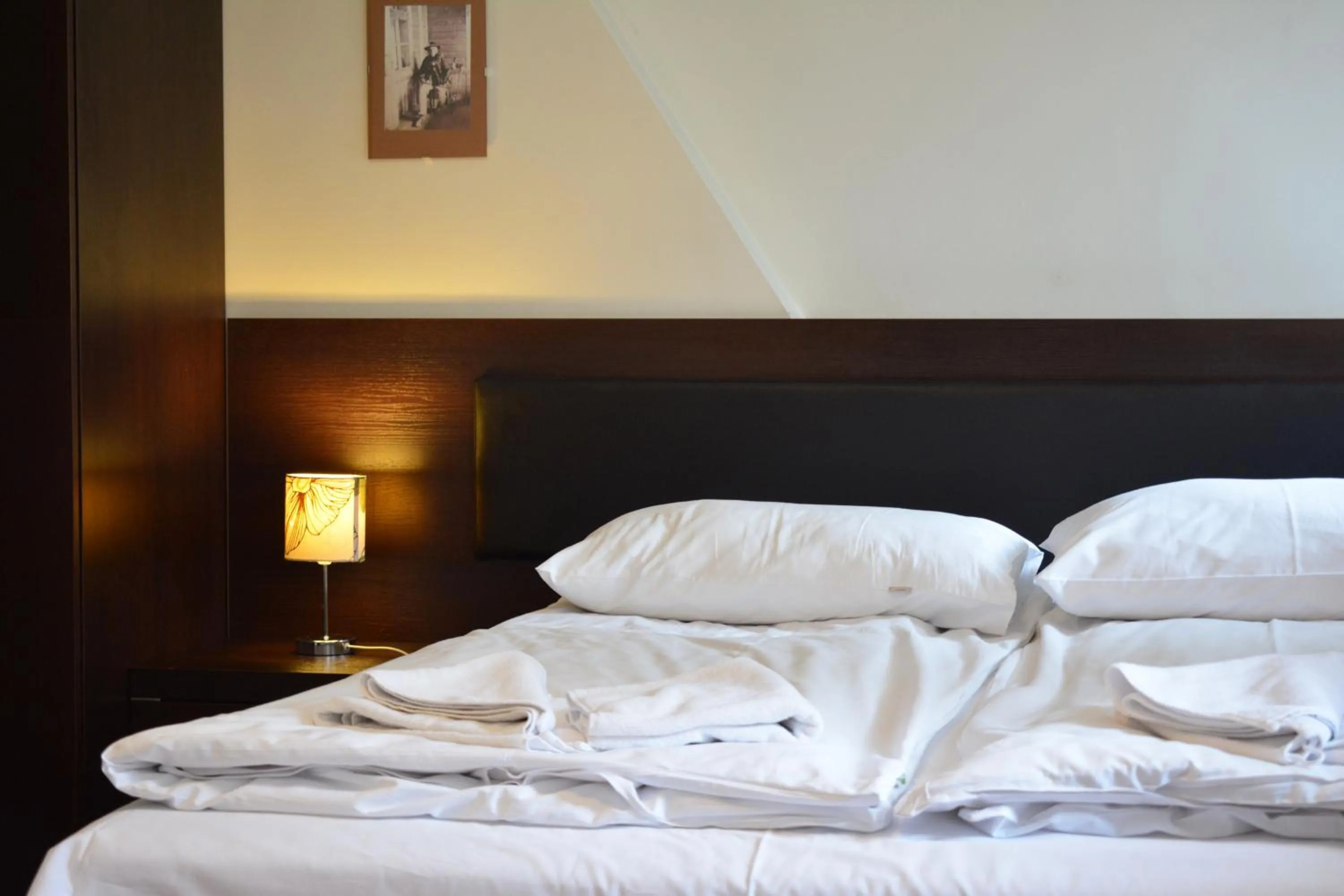 Photo of the whole room, Bed in Willa Halka