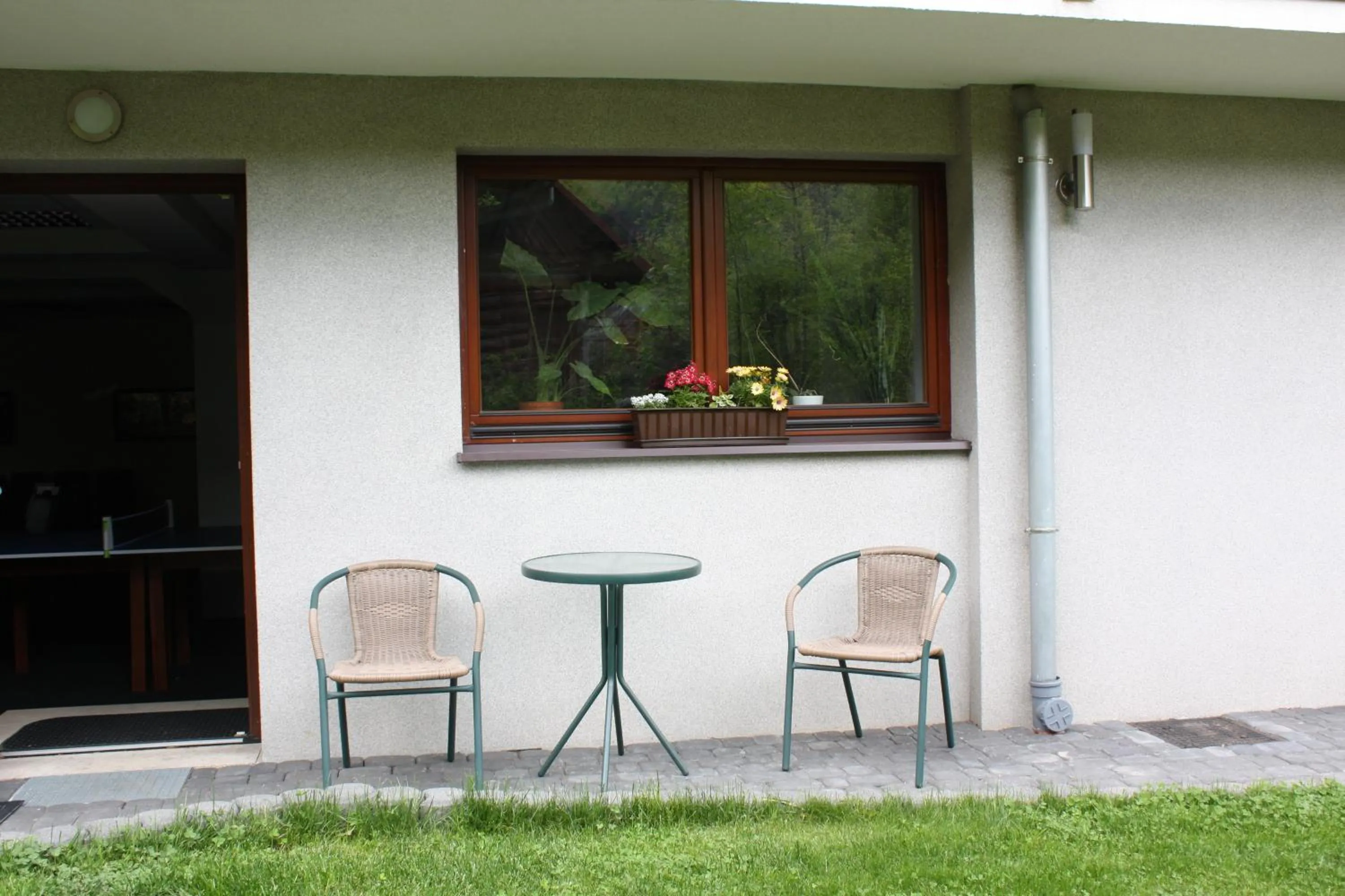 Activities in Willa Halka