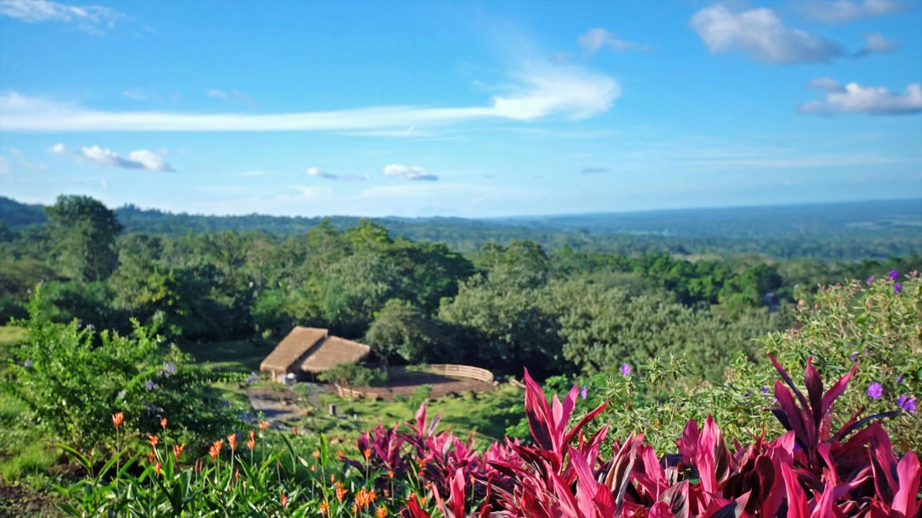 Bird's eye view in Origins Lodge