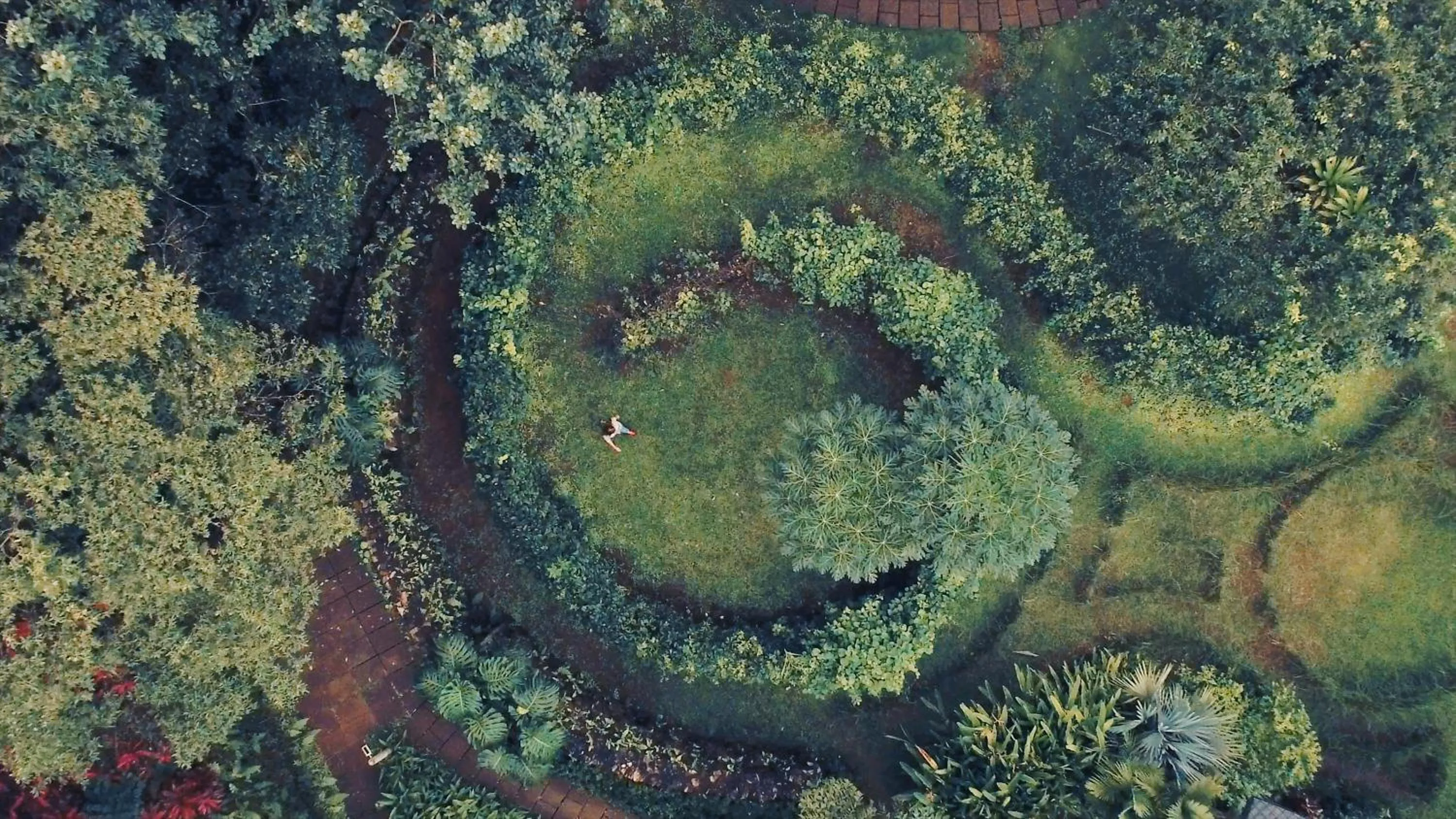 Bird's eye view in Origins Lodge