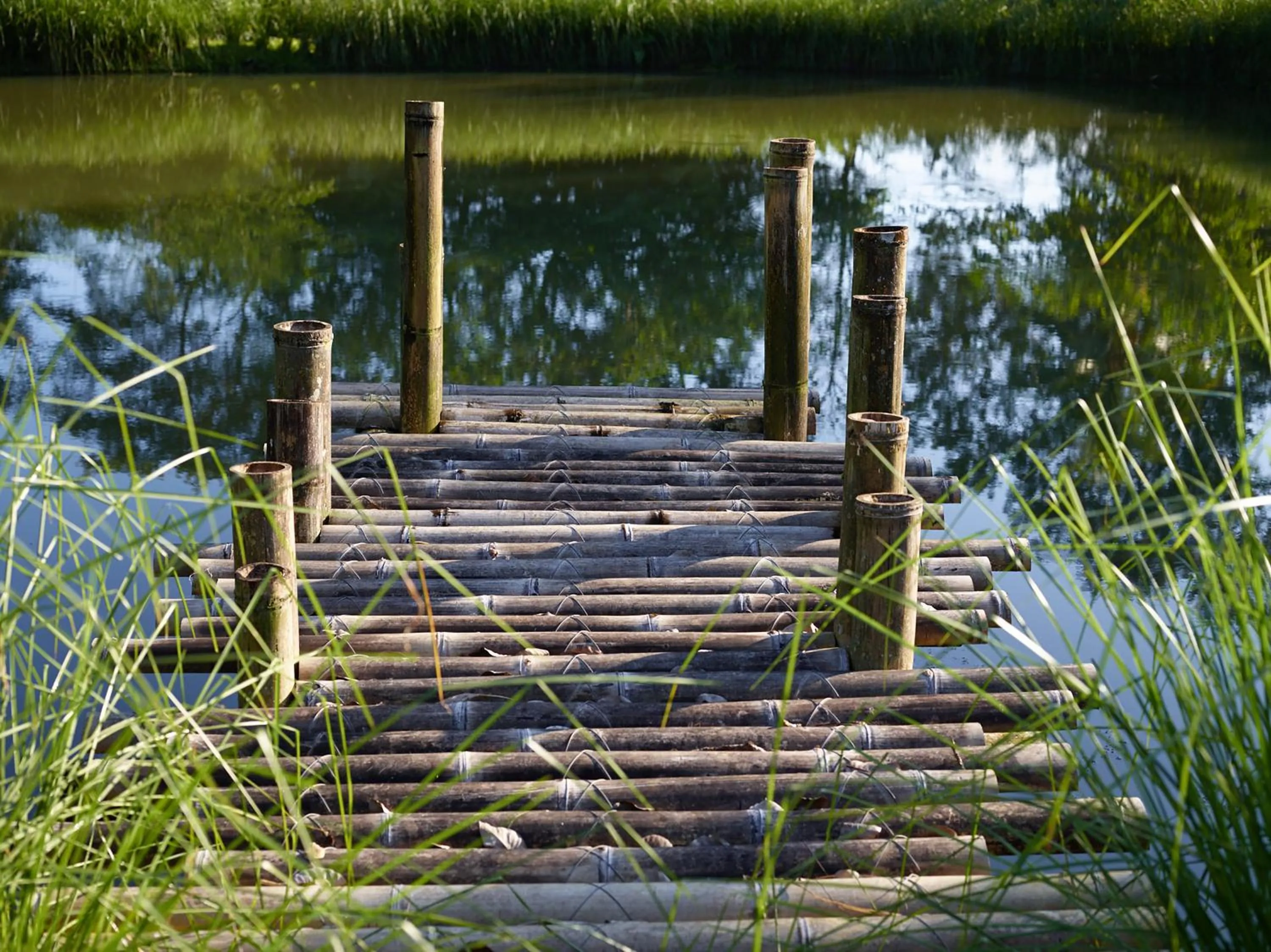 Lake view in Origins Lodge