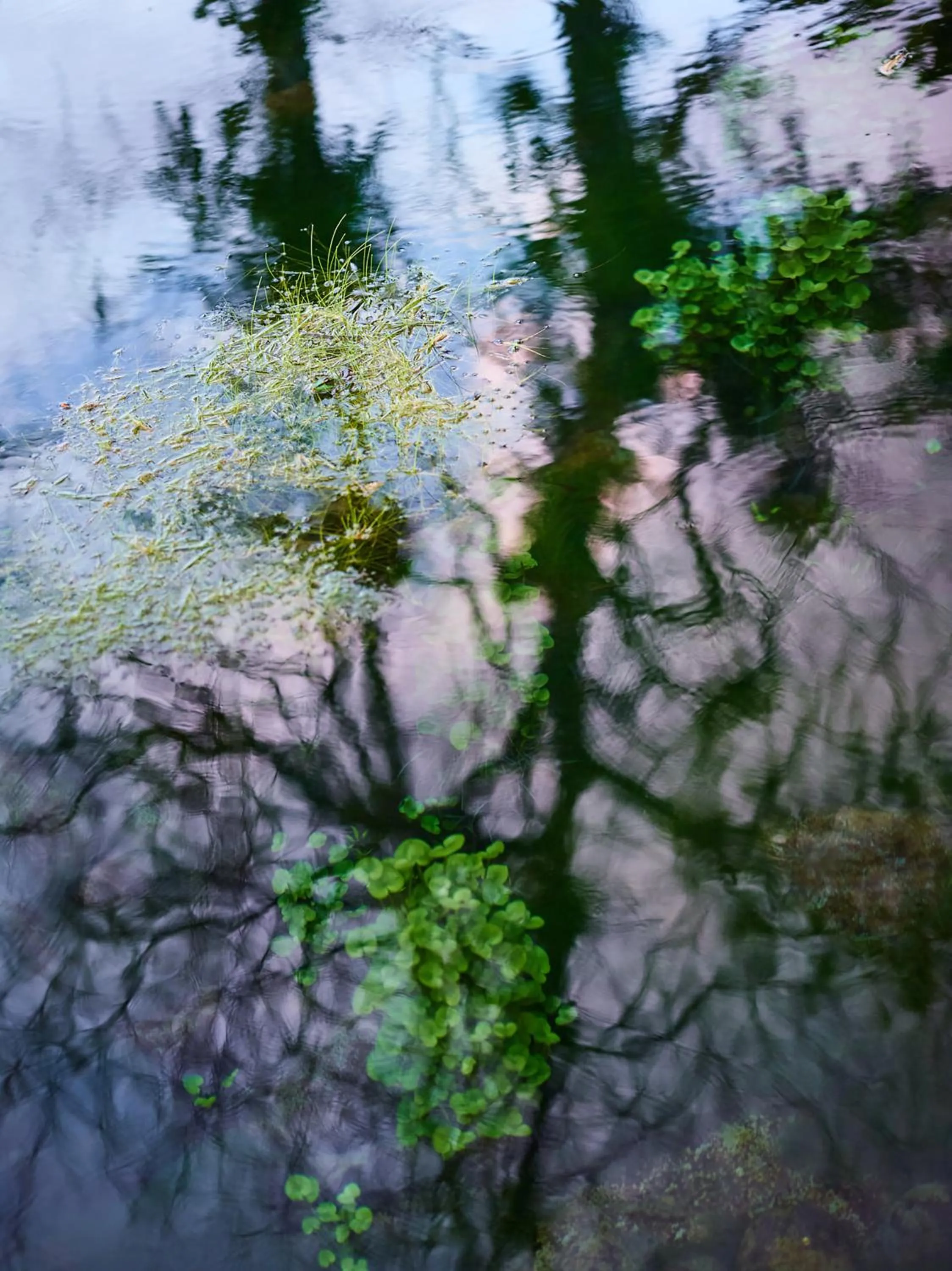 Lake view in Origins Lodge