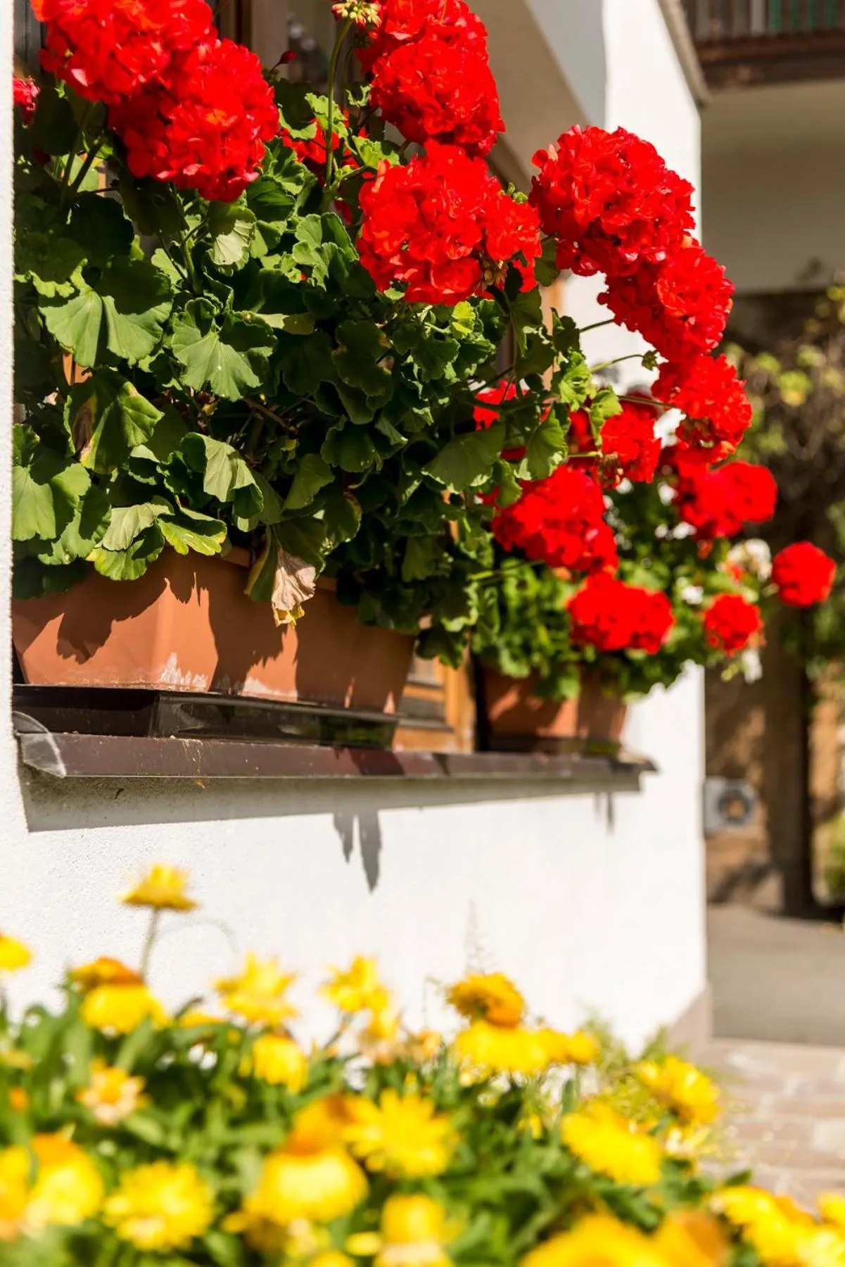 Decorative detail in Arthotel Gratschwirt