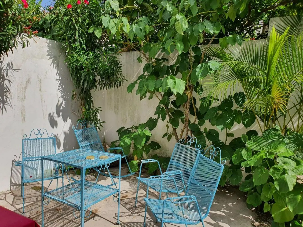 Patio in HOSPEDAJE HOLY