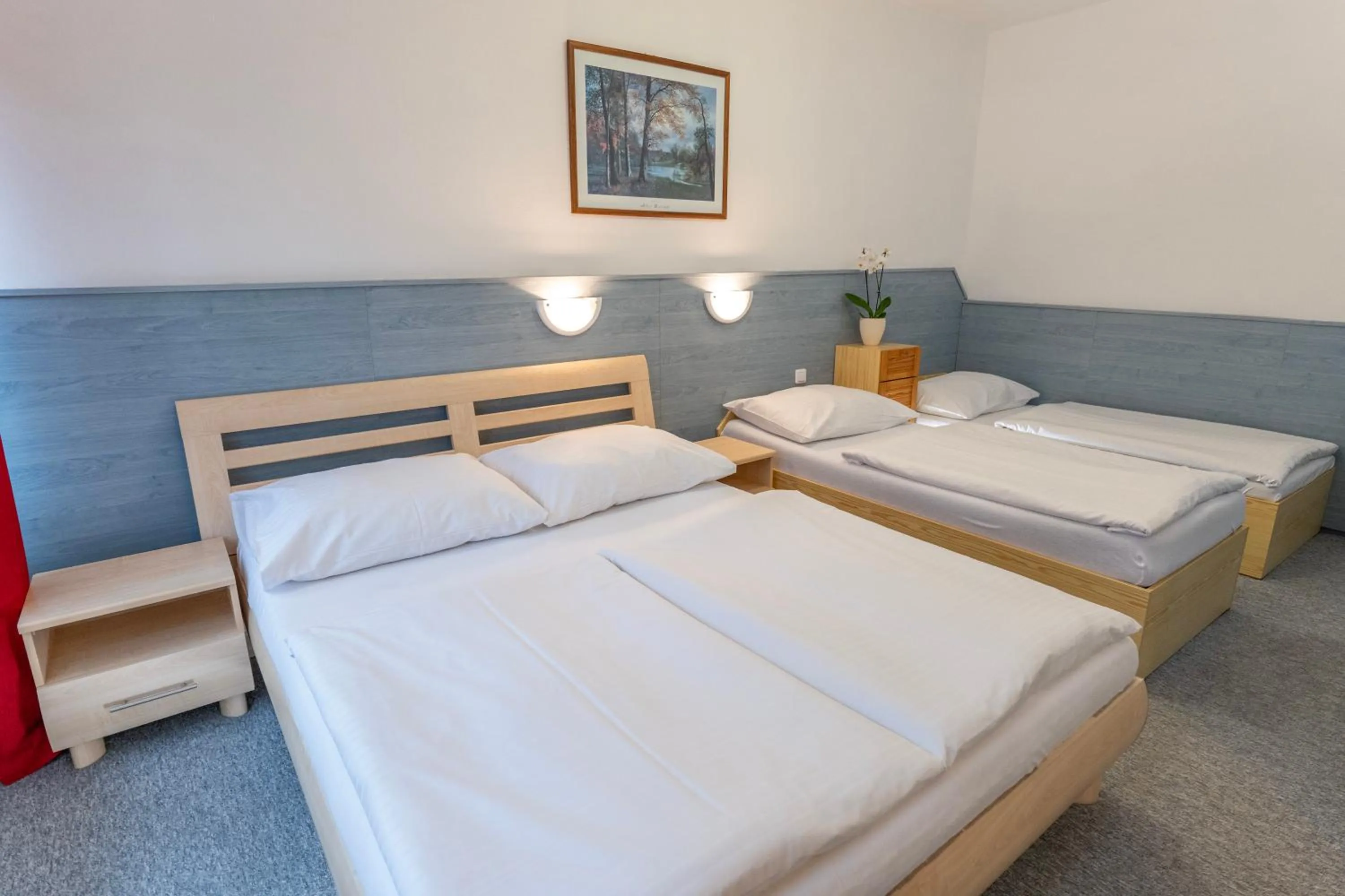 Photo of the whole room, Bed in Sport Hotel Gejzirpark