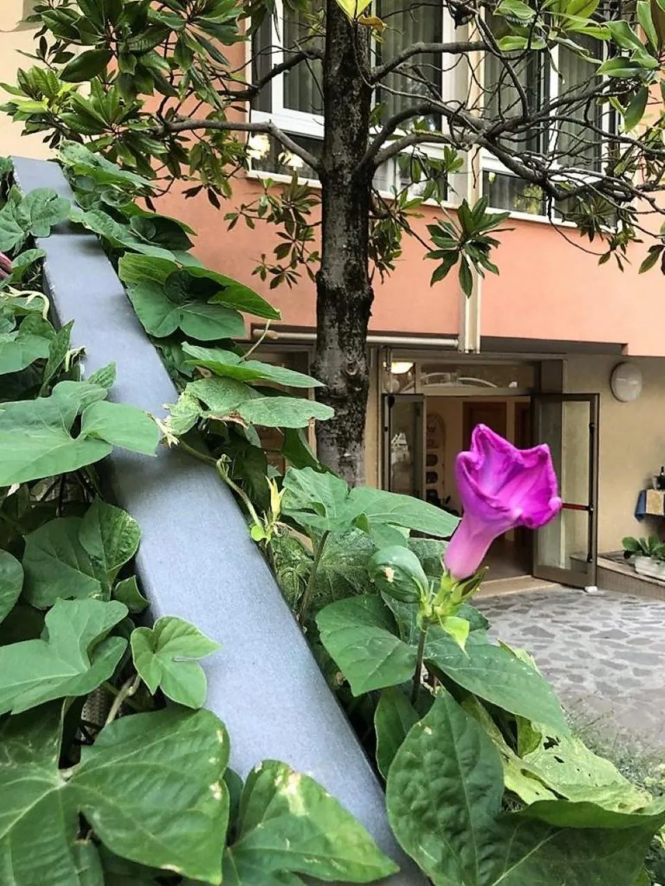 Property building in Hotel President