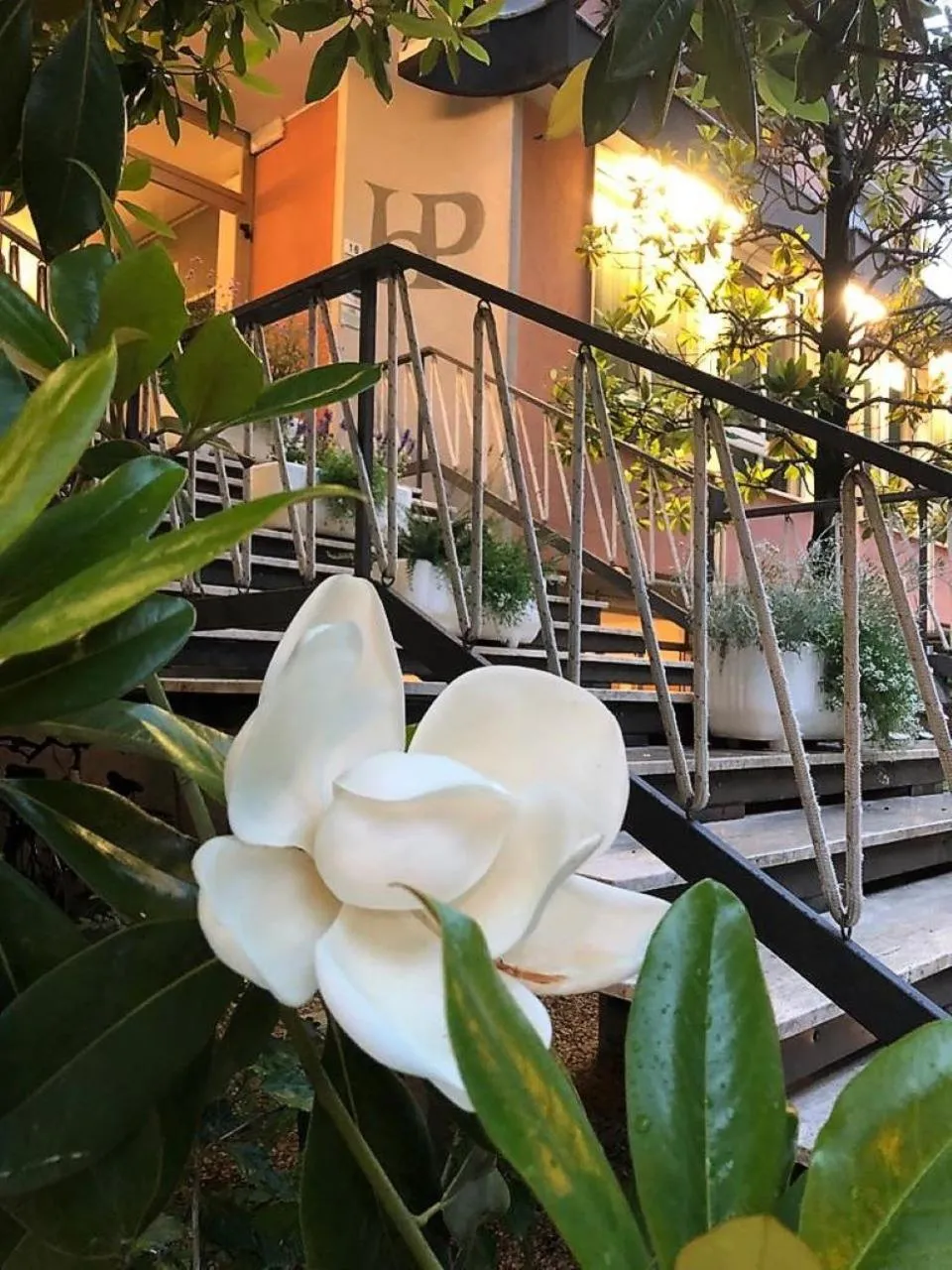 Property building in Hotel President