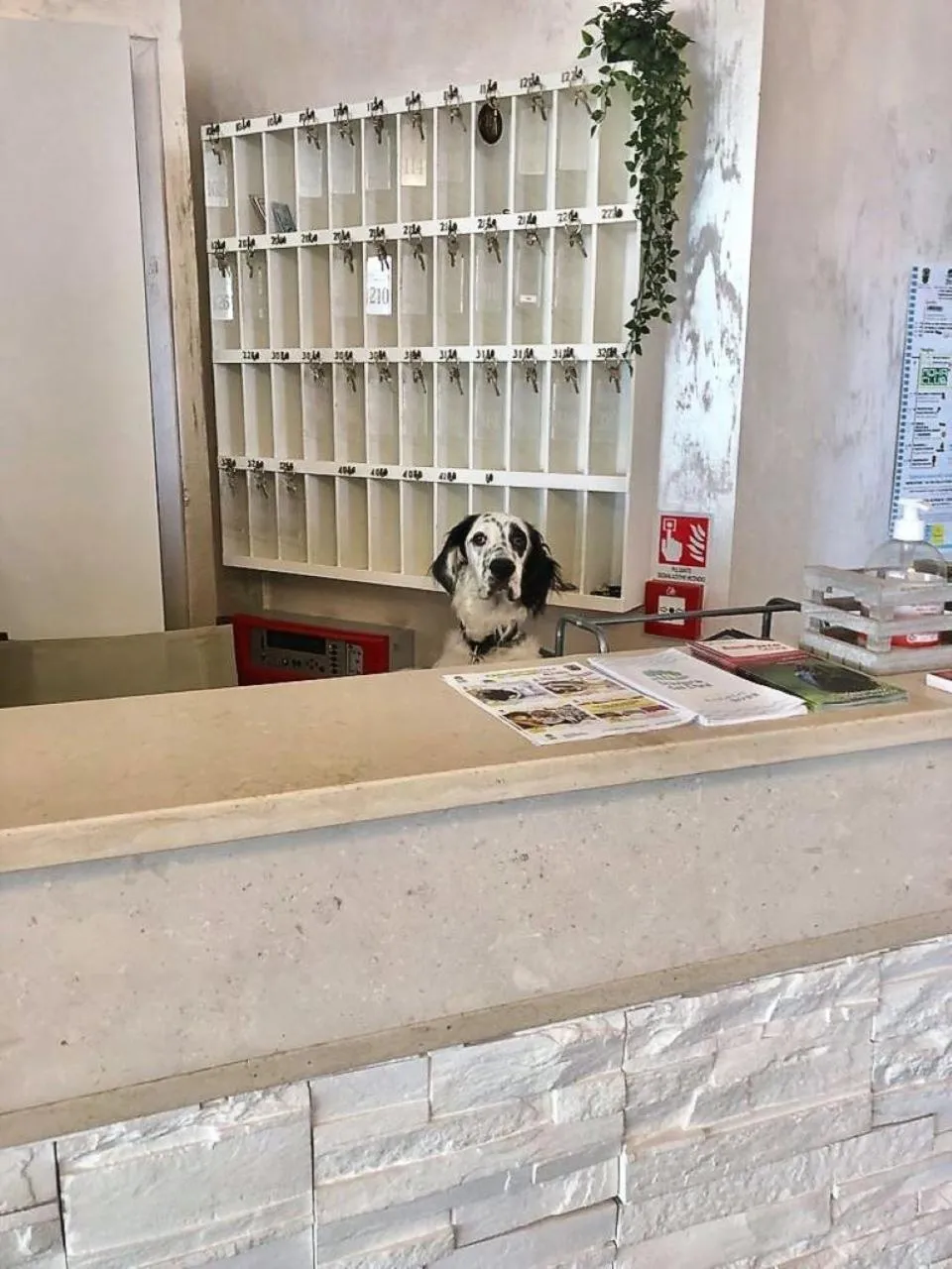 Lobby or reception in Hotel President